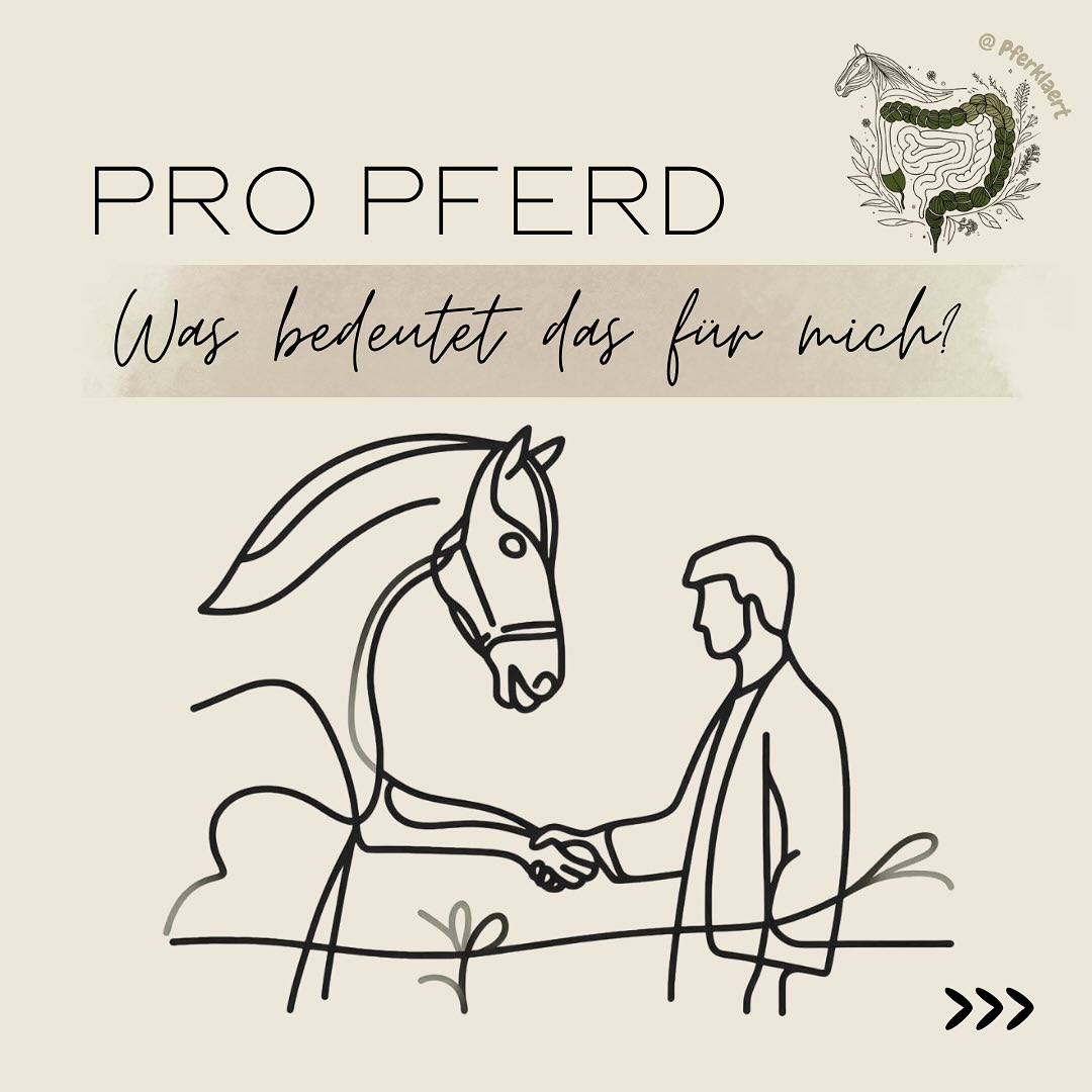 Was bedeutet es, pro Pferd zu sein?
Für mich ist es kein Titel. Kein Gütesiegel, das ich mir anheften kann. Kein „Ich mach das richtig“ und schon gar kein „Ich weiß alles besser“.
Pro Pferd sein ist eine Entscheidung. Und ein täglicher Kraftakt.
Es beginnt mit einer unbequemen Frage: Bin ich bereit, mich wirklich selbst zu hinterfragen? Nicht das Pferd verantwortlich zu machen, wenn etwas nicht funktioniert – sondern mich. Mein Tun. Mein Wissen. Mein Timing. Mein Ego. Es bedeutet mich zu fragen: Was braucht mein Pferd gerade wirklich? Und was davon bin ich bereit zu sehen und zu geben?
„Pro Pferd heißt für mich auf jeden Fall die Ideen und Meinung des Pferdes berücksichtigen. Vorteil: Fürs Pferd ein Leben, in dem es ernst genommen wird, seine Grenzen klar kommunizieren kann und mitentscheiden kann, was wir machen. Für mich als Mensch eine sehr intensive Beziehung, Sicherheit da er nie Laut werden muss (zB treten, steigen, losreißen), sondern sehr fein und leise kommuniziert“ (Zitat aus der Community – danke für eure Gedanken!)
Ich habe gelernt, dass Trainingspläne, Checklisten und Ziele stecken im Stall oft wertlos sind. Dass es Tage gibt, an denen Reiten oder Bodenarbeit einfach keine Option ist - nicht, weil ich keine Lust habe, sondern weil das Pferd nicht bereit ist. Nicht gesund. Nicht tragfähig. Nicht in Balance. Und ich? Ich übe mich darin, loszulassen. Den Trainingsplan. Das Ziel. Die Vorstellung, wie es „sein sollte“.
Und manchmal, ganz ehrlich, tut das weh.
„Ich dachte früher, pro Pferd heißt: Es dem Pferd immer recht machen. Heute weiß ich: Es heißt, zuzuhören, auch wenn die Antwort unbequem ist“ (Zitat aus der Community)
Ich merke, wie viel Arbeit das ist – nicht am Pferd, sondern an mir selbst. Ich habe gelernt, dass ich abends keine Konzentration mehr habe. Dass mein Pferd es nicht verdient, dass ich halb bei der Sache bin. Dass Rücksicht kein Extra ist, sondern ein Ausdruck von Respekt.
⬇️in den Kommentaren geht es weiter⬇️