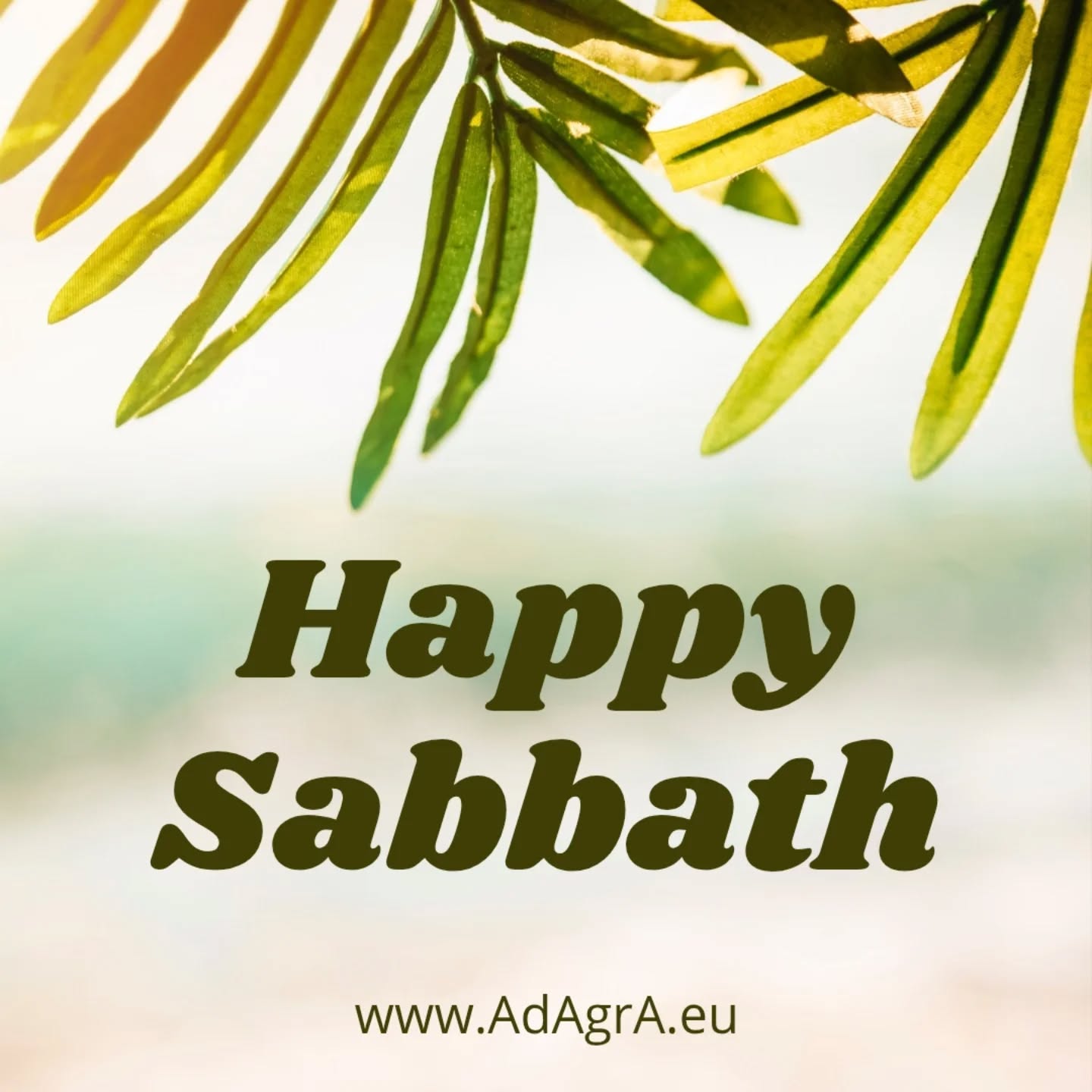 The Sabbath calls our thoughts to nature, and brings us into communion with the Creator. 💚
The Desire of Ages, p. 281