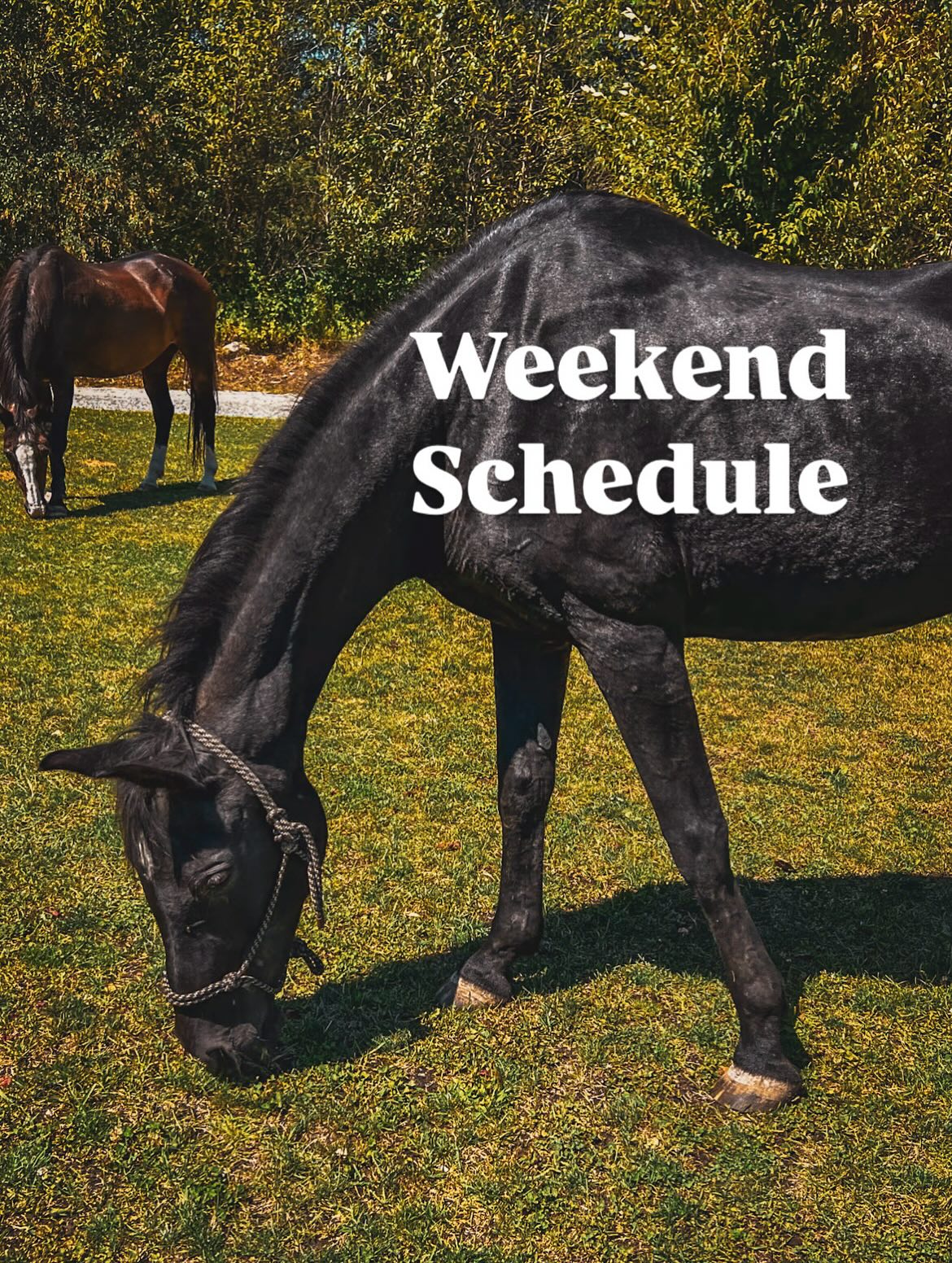 From sunrise dips to starlit gatherings, we’ve packed the weekend with movement, connection, and learning.