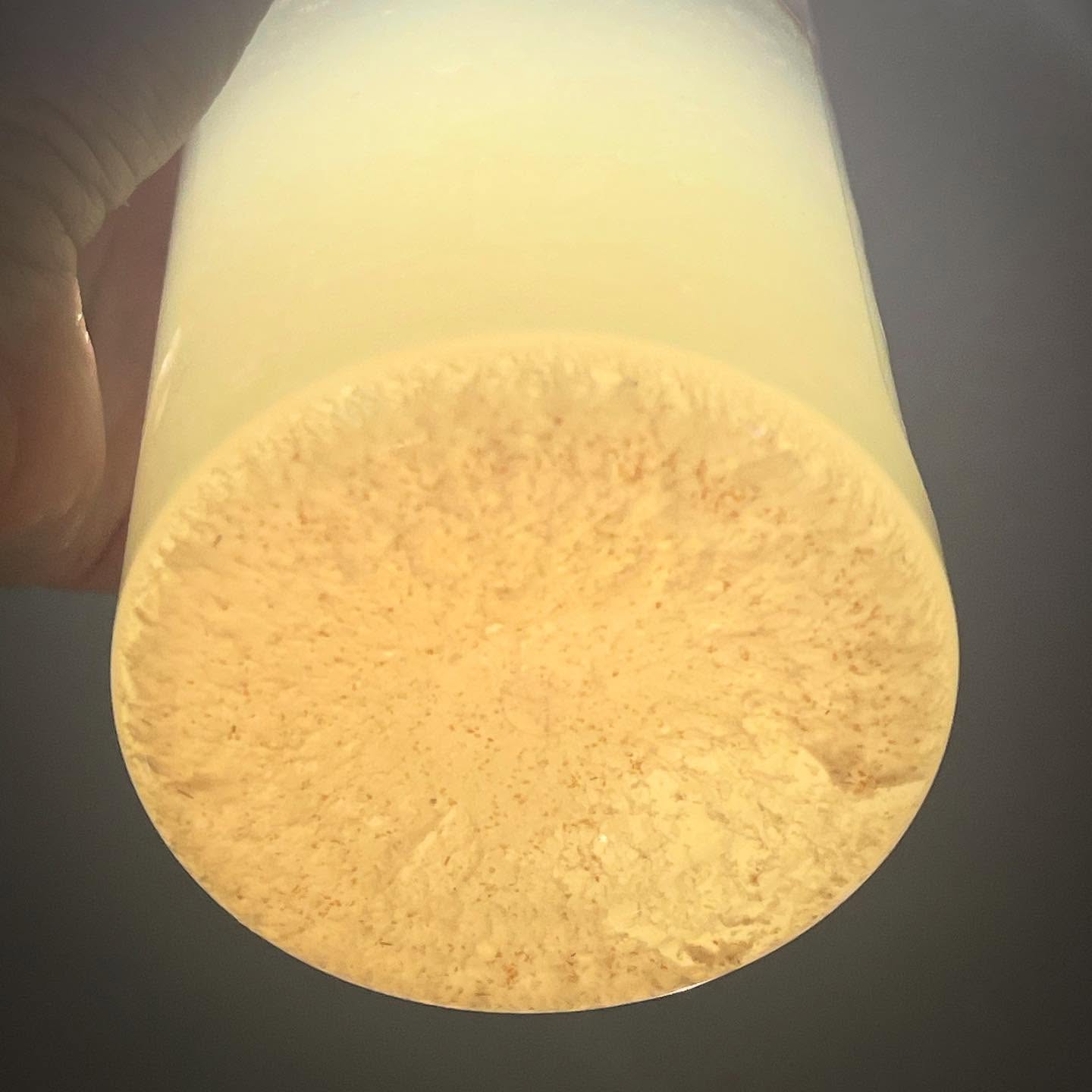 ALL THAT GUNK
It’s been half a year since I’ve transitioned my entire skincare line over to Troiareuke and my gosh… when paired with the hydraderm, it really gets all that gunk out.
Deep cleaning to get your skin fresh and ready to absorb all your skincare with holistic Korean products that work with you, not against you.
My belief is that good skin comes from within whether it is physical or mentally. It is just as important to need to take care of what’s inside of us for it to reflect the outside.
I will get to training in time for the cooler season to bring in an herbal and natural approach to microneedling and a peel that will give you instant glass skin. Model calls will be made come September so make sure you stay peeled to our IG for those announcements!
.
.
#yyc #yycnow #yycbusiness #yyclocal #calgarybeauty #yycspa #yycsalon #yycfacials #yycbrows #yycstylist #yycshopping #calgarysmallbusiness #yycbeauty #yycesthetics #yycfacial #calgaryhairstylist #yychair #yycsmallbiz #yycsmallbusiness #yycgirls #yycbalayage #yycskincare #calgary #yyclocal #yychomebasedbusiness #yychomebasedsalon #yychomebasedesthetics #yycwaxing #yycmen #yycskin