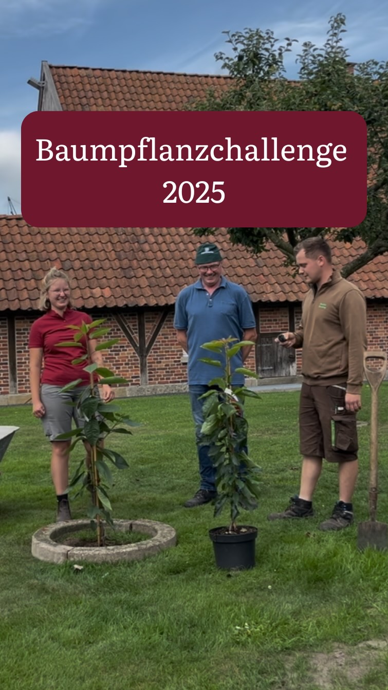 Vielen Dank @galabau_berning_gmbh für die Nominierung zur #baumpflanzchallenge 🌳💚
Wer wenn nicht wir, bei so einer tollen Challenge.😊
Da wir genug Bäume haben, spenden wir zwei #säulenkirsche an den Heimatverein in Graes.
Wir nominieren:
@elektrotechnikjosefhorst
Albers Transporte
@baumschule_newgarden
Ihr habt 72 Stunden Zeit an dieser Challenge teilzunehmen. Wenn ihr dem nicht nachkommen solltet, kommen wir mit der Belegschaft zum Grillen vorbei.
#baumschule #baumschulenterbrack #nursery #boomkwekerij #gärtnerei #baum #pflanzen #gartenliebe #familienbetrieb #spende #guterzweck #kirsche #prunus