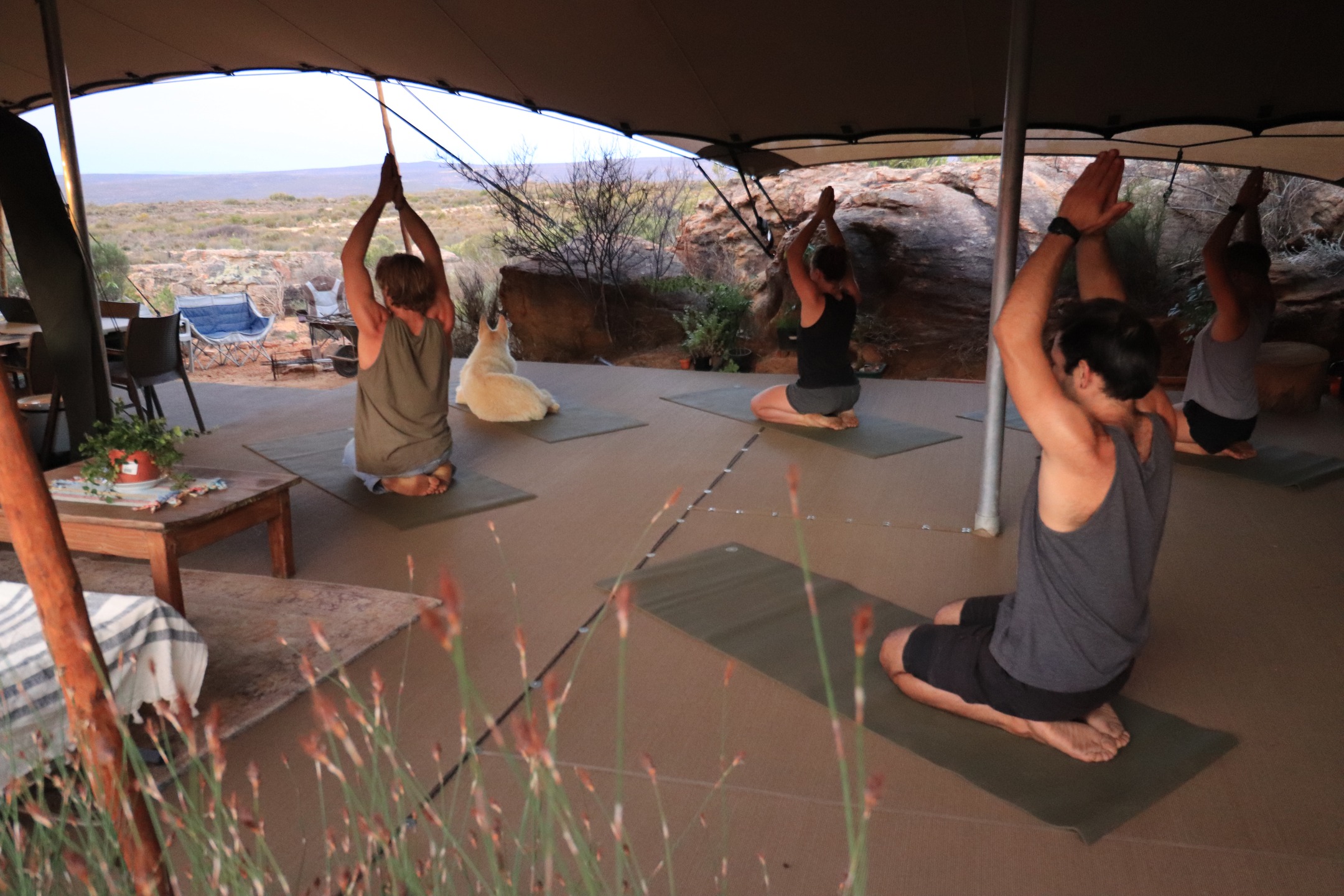 🌀 Yoga in the Central Space 🌀
Even on the wettest days of our winter storms, the Central Space of @eightdayrain provides us room to expand, to feel and flow and feed ourselves.
While we wait for the storms to pass (as they always do) we gift ourselves moments of silence, silliness and support under this magical canopy.
Join us!
8-10 August 2025
19-21 September 2025