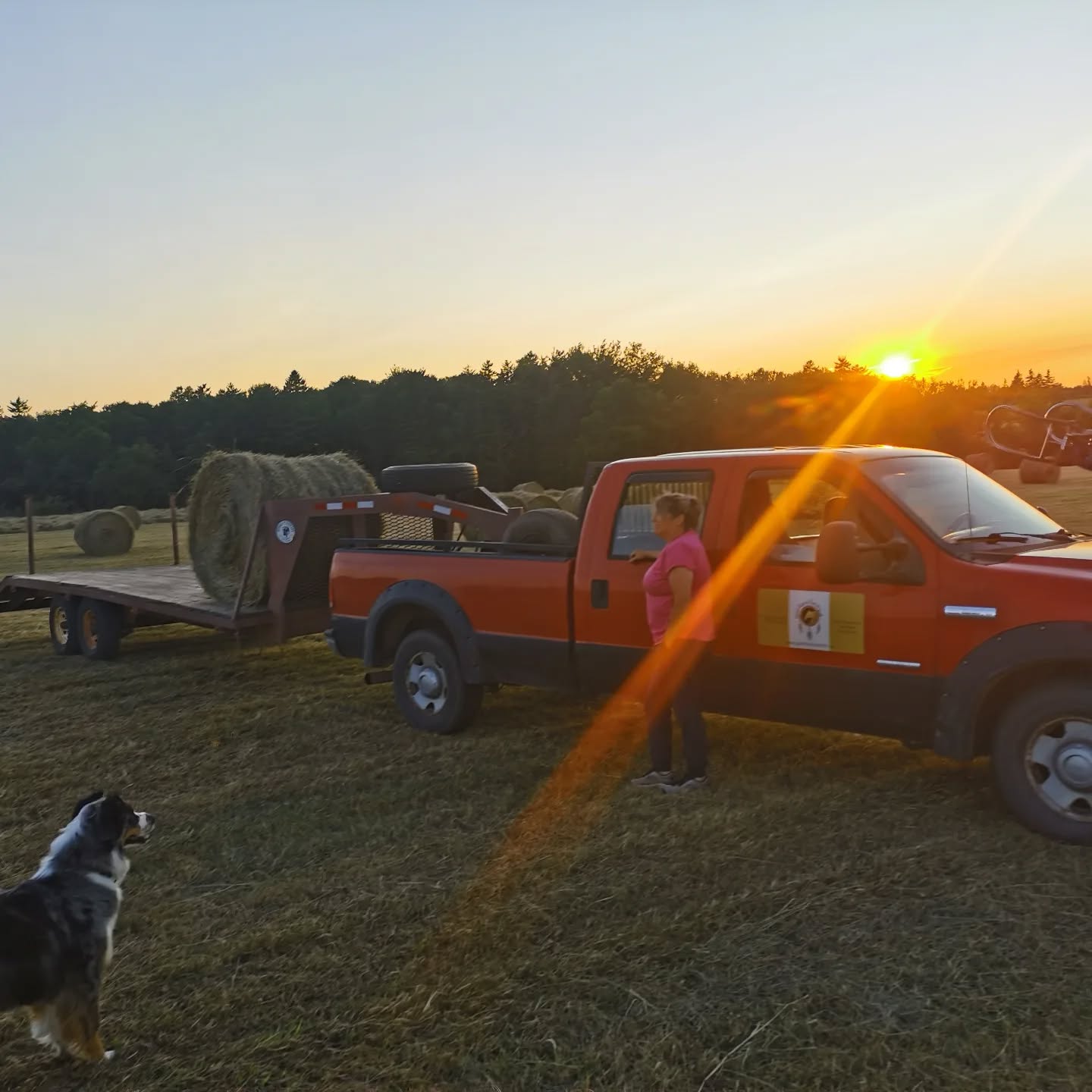 Feels like summer. #horsebackriding #adventure #getoutside #horsebackriding #hayseason #farmlife #spiritreinsranch #sunset