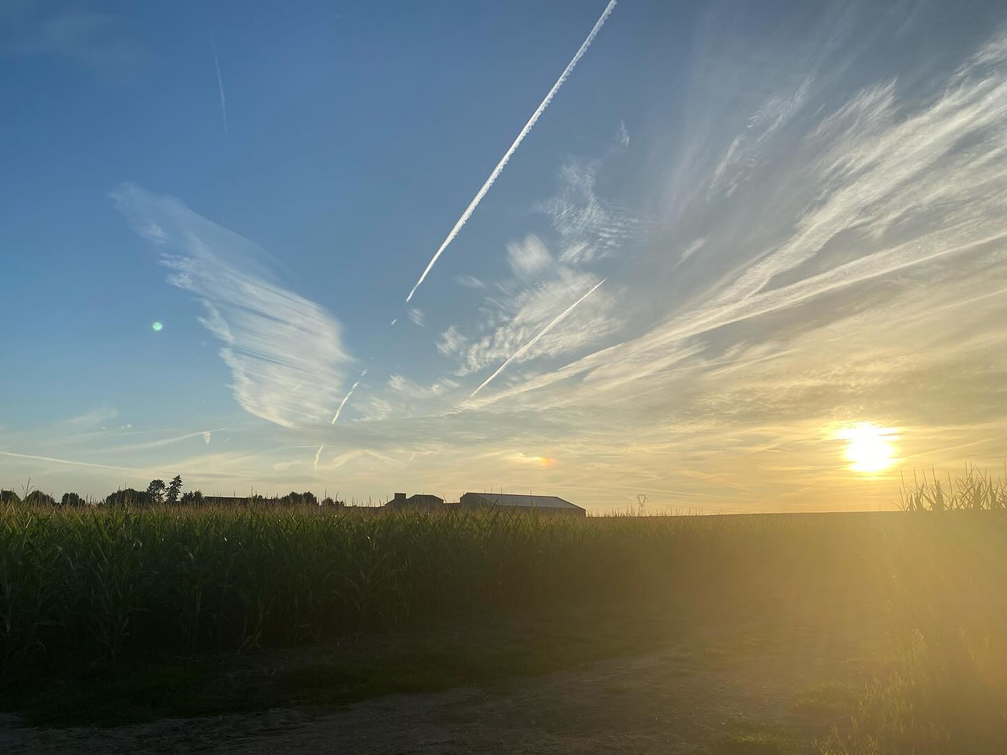 ✨ On va toujours trop loin pour quelqu’un qui va nul part. Soit ta priorité, vise tes objectifs et fais de tes rêves ta réalité, tes priorités. C’est en toi et uniquement en toi que tu trouveras cette ressource. Signé ton guide 😉😘 #energiedujour #energiepositive #croireensoi #spiritualité #joie #joiedevivre