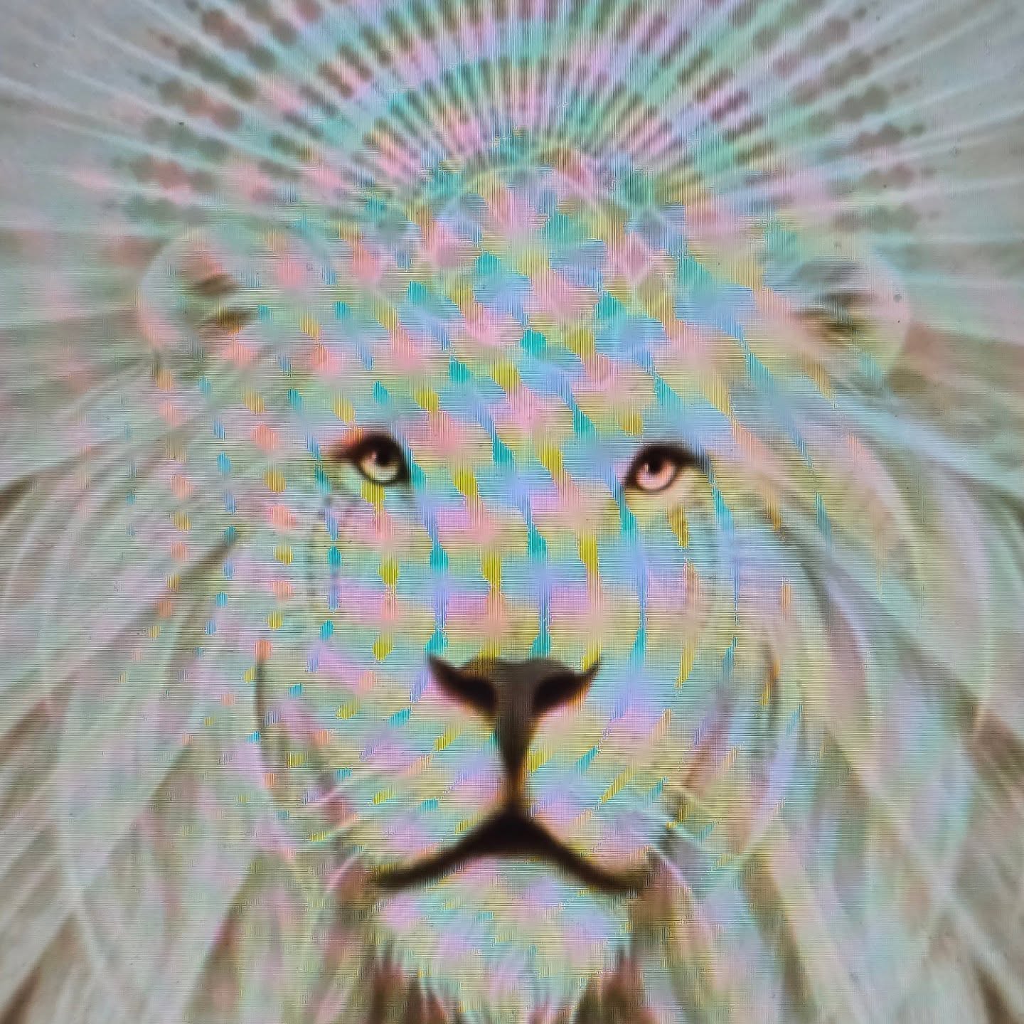 Lions Gate Portal 8/8/2025 The Mirror Within
When Sirius rises with the sun, we're invited into something deeper than surface desires. This portal asks us to understand the profound relationship between our inner landscape and what shows up externally.
I realized a number of years ago that manifestation lives in the felt experience, not repeated affirmations.
Our nervous system doesn't distinguish between vivid imagination and reality. When we embody the energy of The Mirror, life reflects back exactly what we're broadcasting energetically, the inverse, the opposite! This isn't cosmic testing-it's simply how energy works.
Desire peace on earth? The journey first begins with extending compassion to the chaotic parts of yourself.
Calling in higher consciousness? Become honest about your human experiences rather than transcending them.
Wanting life without suffering? Like it or not, pain carries the charge and the seeds of some of the greatest transformations..we may only realise it in retrospect.
Want connection? This requires showing up as your yourself, not always the polished version.
The Portal's Invitation The Lions Gate amplifies everything- desires and unconscious patterns alike.
It asks: What's the gap between what you say you want and what you're actually available to receive? I’ve almost stopped focusing on what I want to manifest and give soft focus on who I’m becoming.
The universe responds not to our words, but to the frequency of our being.
Ever heard this before “we already contain everything we seek”. Our very existence is remembering, embodying, and expressing harmonic coherence, the divine, the nothing-ness, the field, the divine spark - what's already alive within us.
The portal is open. How deeply are you willing to receive what you're truly ready for?
#thearchitect
#breathwork
#Coherence
#brownwomenbreathe
#aurabreath
#harmonicconvergence
#astrology
#lionsportalgate
#newearth
#peaceforgaza
#collectiveconsciousness