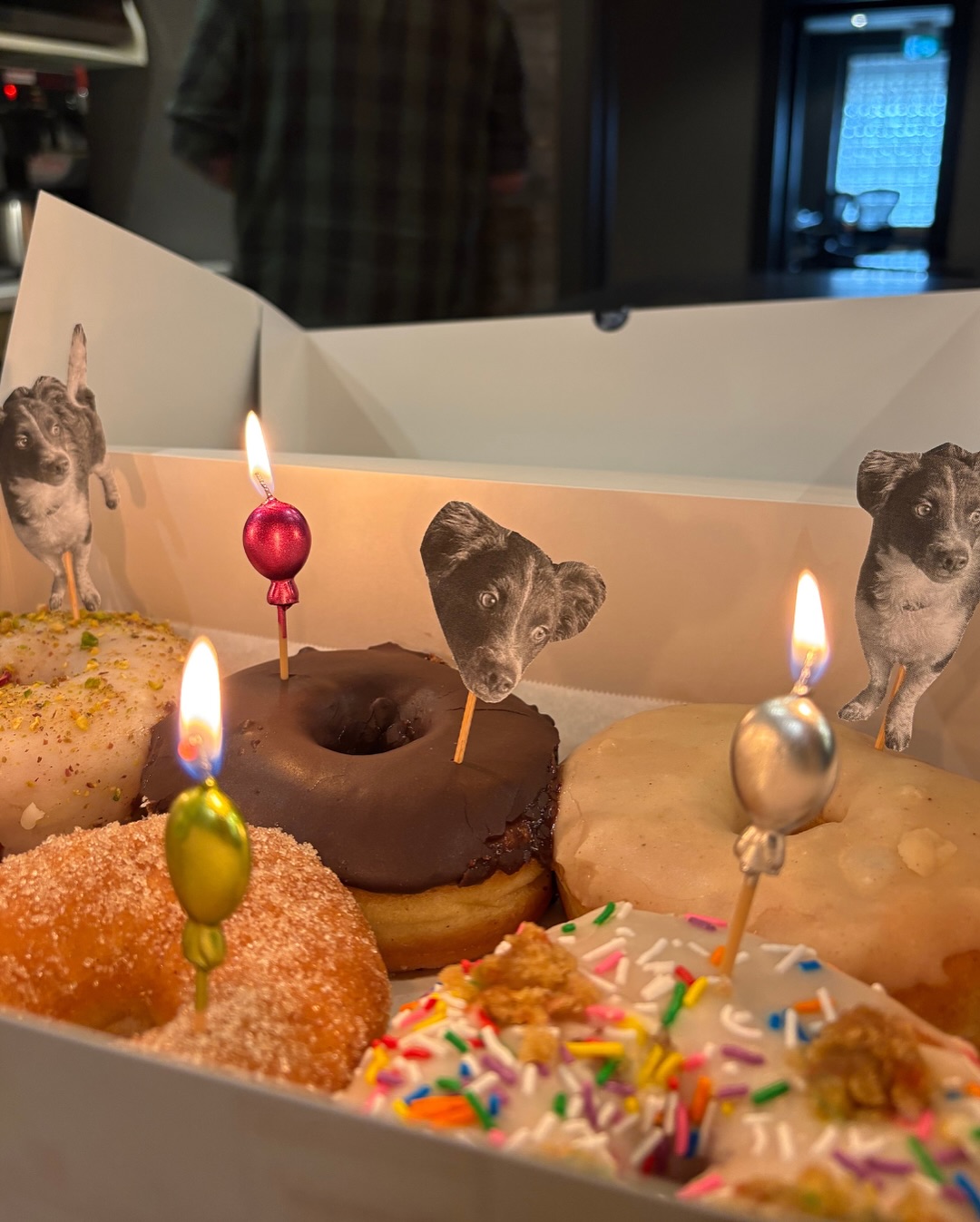 It’s not a birthday unless there are donuts and doggos present! 🍩🐶🎉 Join us in wishing TA2 Audio Director, Joseph Frustaglio, a very Happy Birthday!