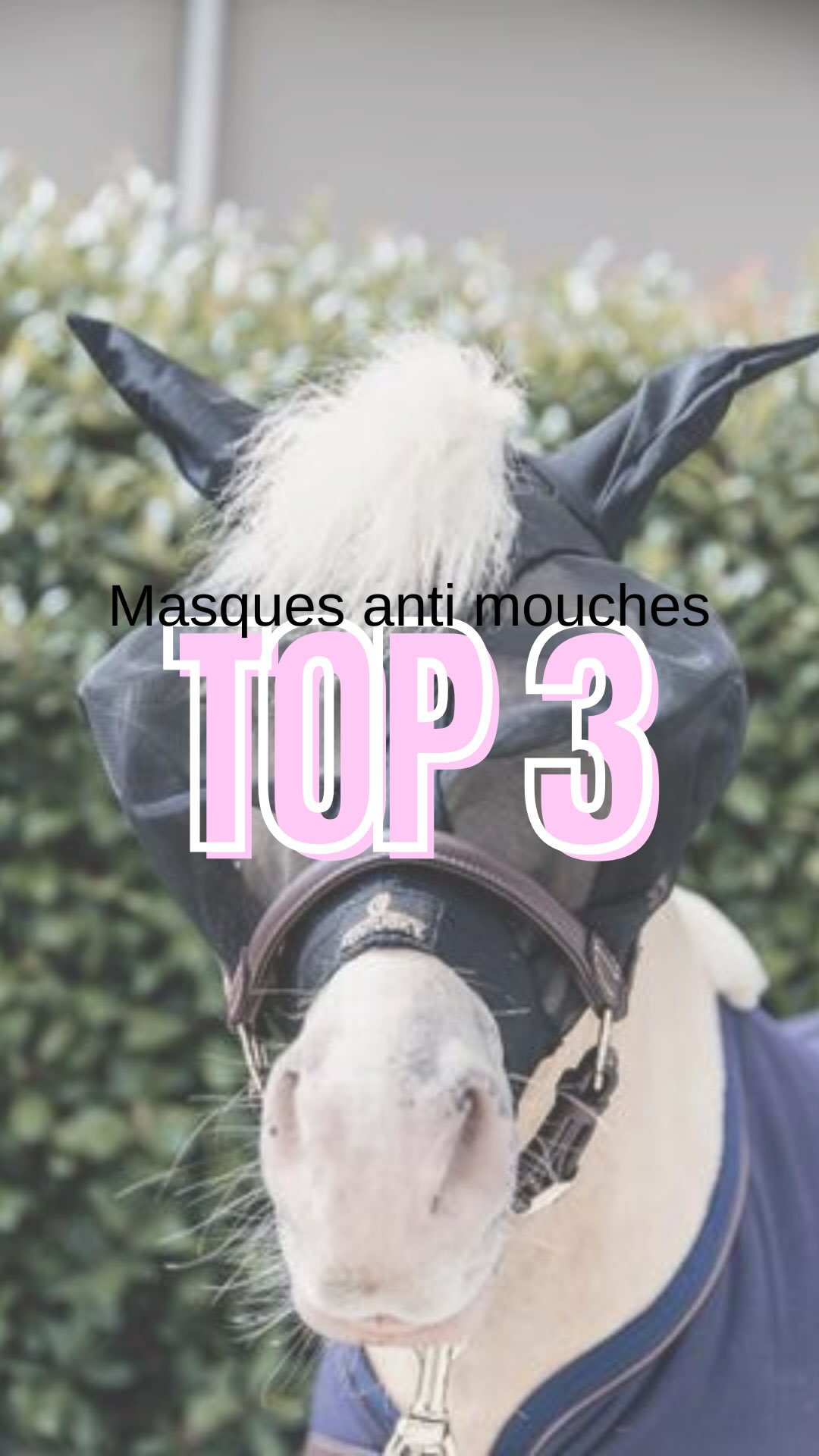 La solution ultime pour un été sans tracas pour votre cheval ! ☀️🐴
Dites adieu aux insectes et bonjour à la tranquillité avec le masque anti-insectes, la protection indispensable pour la belle saison.
En été, nos chevaux sont souvent la cible de mouches, taons et autres insectes qui peuvent causer irritation, stress et même des problèmes de peau.
Pour y remédier, le masque anti-insectes se présente comme la solution idéale, à la fois économique et respectueuse de l’environnement.
Conçu comme une barrière physique, le masque protège efficacement les zones sensibles de la tête de votre cheval sans avoir recours à des sprays chimiques potentiellement irritants pour sa peau ou nocifs pour notre planète.
🌎 C’est une alternative durable et écologique qui assure le bien-être de votre compagnon tout au long de l’été. 💸
Les masques modernes sont fabriqués à partir de matériaux légers, respirants et souvent dotés d’une protection anti-UV, garantissant un confort optimal même pendant les journées les plus chaudes.
Le tissu doux et les bordures en polaire ou en lycra préviennent les frottements et les irritations, offrant ainsi une protection sans risque pour la peau délicate de votre cheval.
Opter pour un masque anti-insectes, c’est choisir une solution économique sur le long terme.
Fini les achats répétés de sprays et de lotions ! Un seul masque de bonne qualité, facile d’entretien, protégera votre cheval saison après saison.
Offrez à votre cheval un été serein et sans piqûres.
Le masque anti-insectes, un petit geste pour un grand confort !
Retrouvez notre sélection dans cette vidéo: nos Best-sellers
✔️Le masque Rambo by Horseware traité anti UV, maille ultra résistante et arceau d’éloignement des yeux 54,95€
✔️Le masque Slim Fit by Kentucky, traité anti UV il est idéal pour la monte 44,99€
✔️Le masque zèbre by Waldhausen son motif éloigne naturellement les insectes et il est économique 19,99€
#Cheval #ProtectionCheval #MasqueAntiInsectes #BienEtreCheval #Equitation #Cavalier #VieDeCheval #PassionCheval #SolutionsÉquestres #ÉtéSerein #Écologique