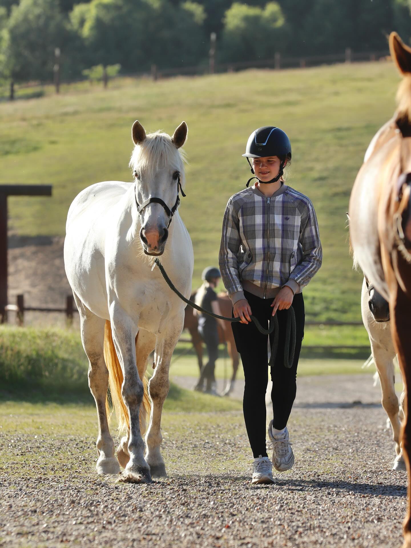 Snart klar til ridetur🌅#danmarkssjovesteridelejr #østerlundridelejr #østerlund