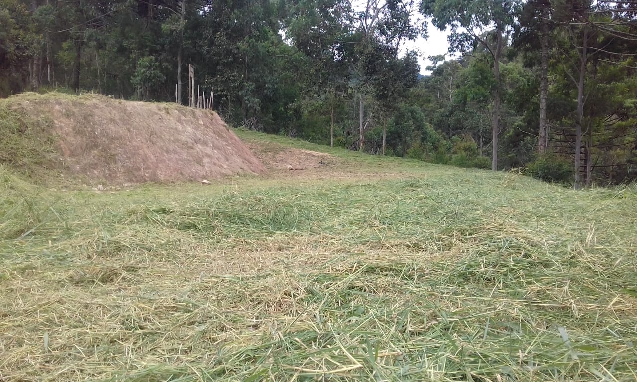 CHÁCARA DE 2.000M² À MENOS DE 1KM DE DELFIM MOREIRA.
Oportunidade Única: Terreno com Platô Pronto para Construir
Este terreno oferece uma oportunidade única para você construir a casa dos seus sonhos em uma localização privilegiada.
Platô feito: Economize tempo e dinheiro com a terraplanagem, já que o platô para a construção já está pronto.
Ótima localização: Desfrute da conveniência de estar em uma área de fácil acesso e com infraestrutura.
Água e energia: O abastecimento de água da cidade já está disponível e a rede de energia elétrica fica bem próxima, facilitando as instalações.
Não perca essa chance de adquirir um terreno com todas as facilidades para iniciar seu projeto de vida!