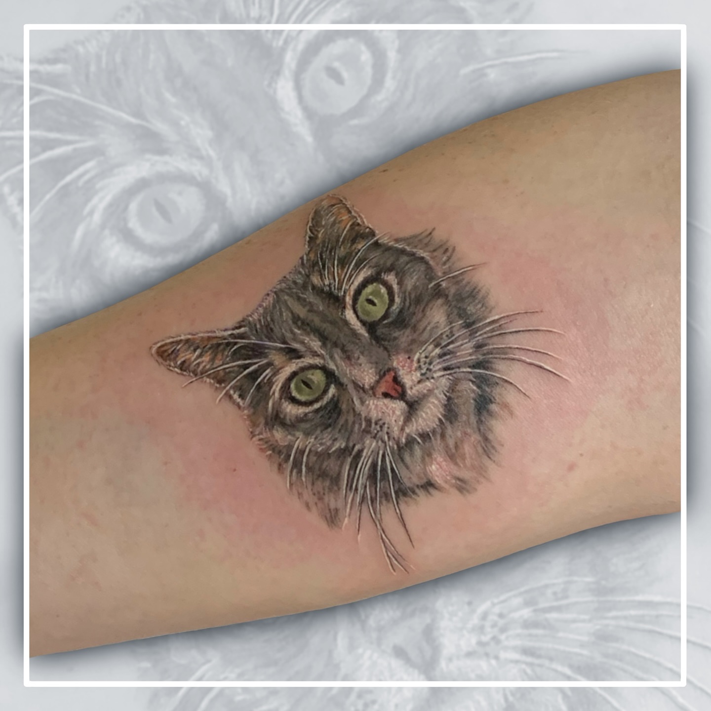 CAT
🐈
DM or Email now for all enquiries inkingtattoos@gmail.com
.
.
.
.
#cattatto #catink #felinetattoo #animaltattoo #pettattoo #customtattoo #inkedart #tattooartist #tattooart #tattoodesıgn #sydneytattoo #sydneytattooartist #australiatattoo #inkedaustralia
#inked #tattoolove #tattoogoals #tattoolife #inklife #tattooaddict #bodyart #furbaby #furbabytattoo #memorialtattoo #realistictattoos #aussieinked #australiatattoo #tattoocollector