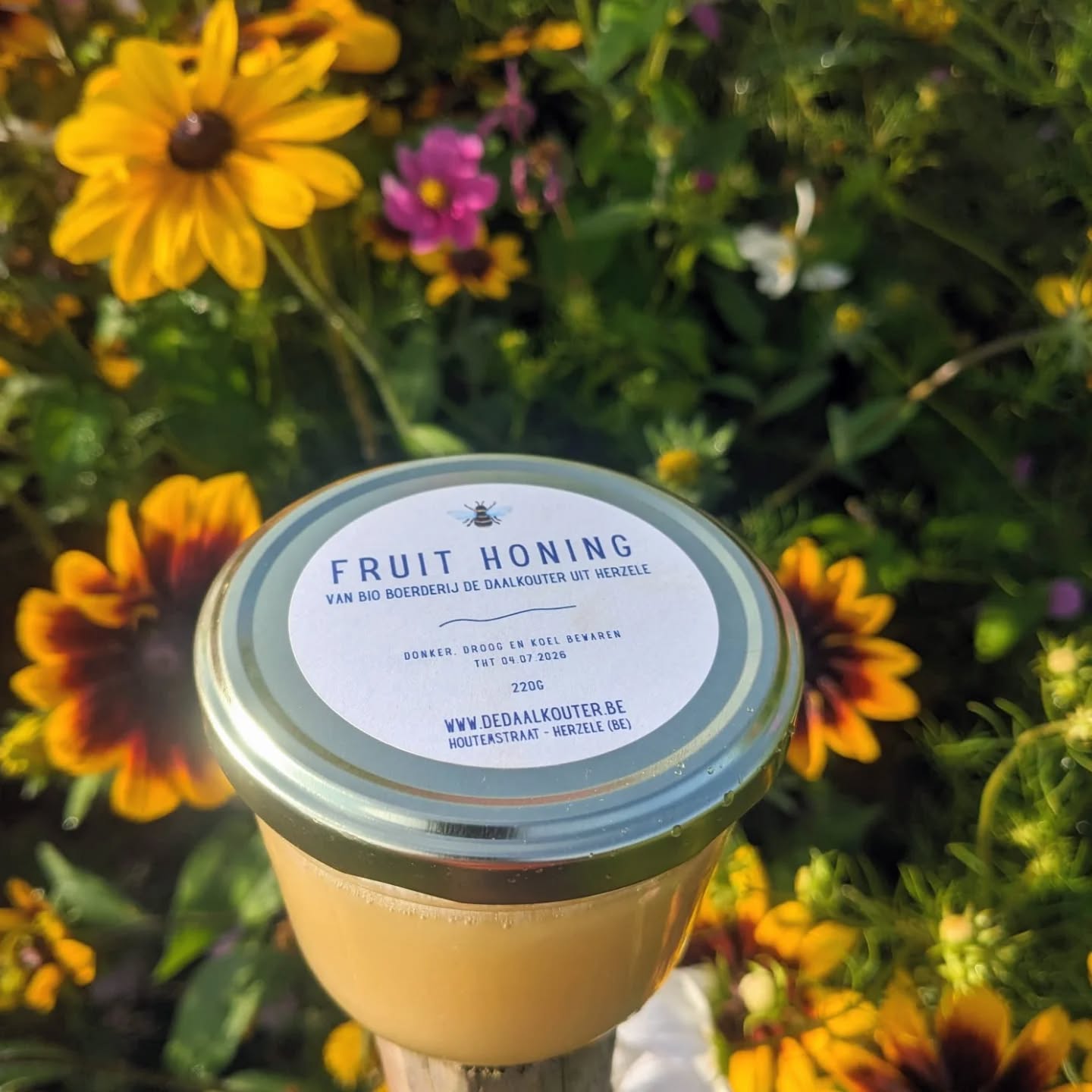 Verse honing! 🍯
Onze bijen staan er in de eerste plaats om ons fruit te bestuiven. Alleen wanneer er een overvloed aan honing is, oogsten we een klein deel.
En 2025 is zo’n bijzonder jaar 😊
De Daalkouter-bijen worden helemaal niet behandeld, ook niet met biociden. En dat is vrij uitzonderlijk. We hopen zo sterke, weerbare bijen te krijgen die zichzelf kunnen onderhouden.
Maar soms moeten we toch ingrijpen. Idealiter overwintert elk volk op zijn eigen honing, maar helaas lukt dat niet altijd – zelfs als we geen honing oogsten. Dit jaar hebben we extreem veel last van jagende Aziatische hoornaars. Daardoor durven sommige bijen hun kast niet meer uit, met voedseltekort als gevolg. In zulke gevallen moeten we toch bijvoeren.
Zo blijven de honingbijen met grote uitdagingen zitten. Minder voedsel in het landschap, de aanwezigheid van landbouw gif, de varroamijt, veranderend klimaat en nu ook nog eens de azaitische hoornaar. 🥺
Ondanks dit alles blijven we met dezelfde visie verder werken met de bijen. Op een manier waarbij de bij centraal staat. Amen 😁
👋🏻vanaf vandaag te koop in onze veldwinkel 👋🏻