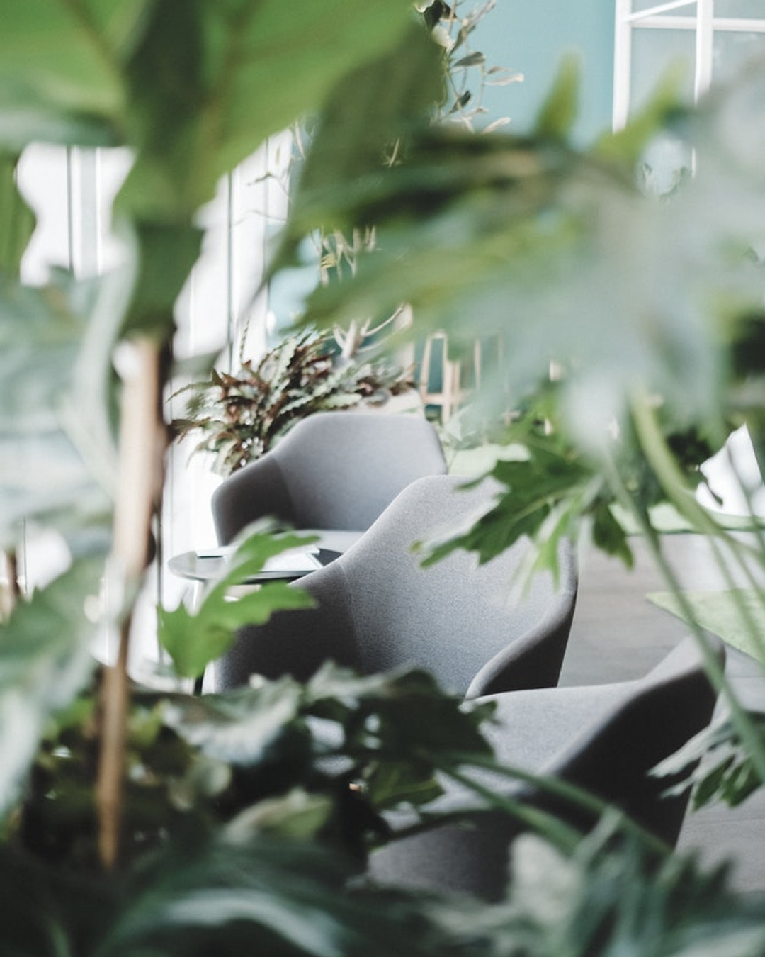 The air we breathe significantly impacts our health. Let's prioritize indoor air quality for a better life! Link in bio #WellnessDesign #AirQuality #WellBeing #SustainableLiving #mindfulspaces
Read more @moss_greenlifestyle