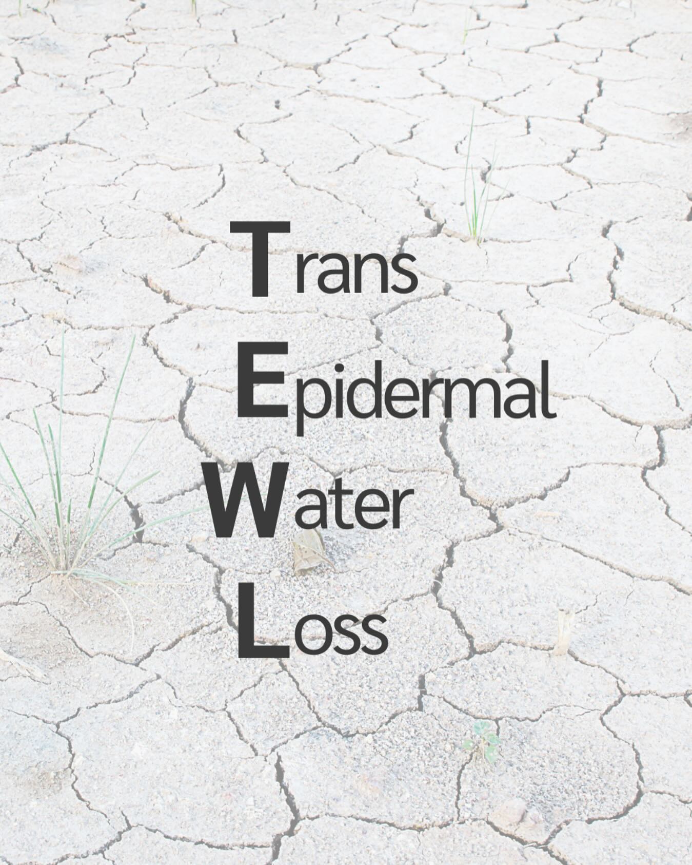 The most concerns I get this time of the year is from clients about their skin, is that it feels dry.
❓Why Your Skin Feels So Dry in Winter – TEWL
Transepidermal water loss (or TEWL for short).
❓What is TEWL?
It’s simply the water in your skin escaping into the air.
This happens all year round and is somewhat a normal thing for the skin, but in winter, it speeds up because:
❄️ Cold air holds very little moisture – so the air “pulls” more water out of your skin
🔥 Indoor heating dries the air (and your skin) even more
💨 Wind strips away the natural oils that help keep water in
🚿 Hot showers & harsh cleansers weaken your skin barrier
When your skin barrier isn’t happy, water slips out faster, leaving your skin dehydrated, rough, and more sensitive.
⸻
How to Keep Your Skin Happy This Winter
✔️ Switch to a gentle, non-stripping cleanser
✔️ Add a hydrating serum (my favourite? pHformula Hydra Serum – magic in a bottle!)
✔️ Use a good barrier-repairing moisturiser to seal the hydration in
✔️ Keep showers warm, not boiling hot
✔️ If you can, pop a humidifier in your home to bring moisture back into the air
✔️ Book a hydrating facial or resurfacing treatment to give your skin a professional moisture boost
⸻
If your skin is already feeling the winter pinch, I can help you tweak your routine so it stays hydrated and healthy – even when it’s freezing outside.
🔗Book your appointment via link in our bio
#WinterSkin #TEWL #SkinBarrier #HydrationIsKey #RoseLoungeTips #brightstreet #somersetwest