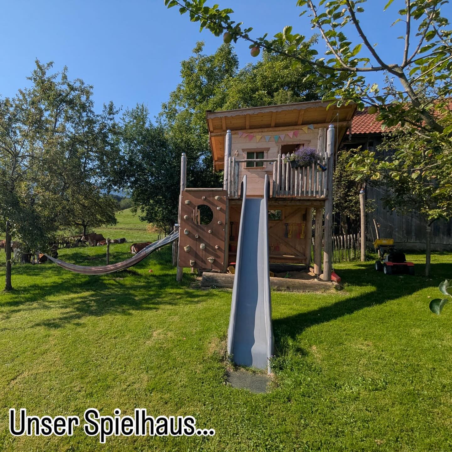 Ab und zu haben wir bei unserem Spielhaus auch Zaungäste 🐄🌞
#spielhaus #sandkasten #zaungäste #kühe #urlaubaufdembauernhof #ferienwohnung #urlaubmitkindern #chiemseealpenland #servussamerberg #samerberg #wanderhöfesamerberg #wanderhöfe #weissnhof #weissnhof_samerberg