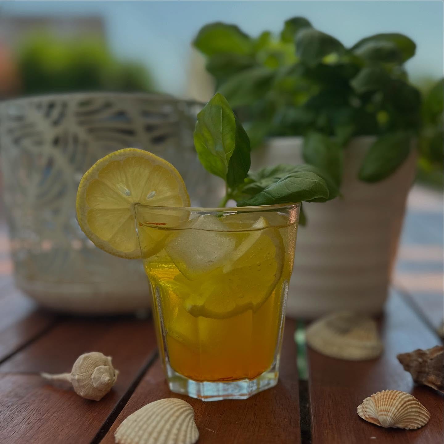 🍋 Safran Mocktail - perfekte Erfrischung für das heisse Wochenende 💛🍹
Lust auf etwas Besonderes im Glas? Dieser Safran-Mocktail ist sommerlich leicht, alkoholfrei – und mit seinem feinen Aroma und der goldenen Farbe ein echter Hingucker.
Rezept für ca. 4-6 Gläser
Safran-Sirup selfmade (1½ dl Wasser, 100g Zucker, ½ TL Safran Fäden, alles aufkochen uns auskühlen lassen) oder ihr macht es euch einfach und kauft den Kardamom-Safran Sirup aus unserem Shop
Für den Mocktail
– Eiswürfel
– 1 EL Zitronensaft
– 2½ dl Mineralwasser
– 1 Scheibe Bio-Zitrone
– 1 kleines Zweiglein Basilikum
– 2–3 TL Safran-Sirup oder den Kardamomsirup aus unserem Shop
Einfach alle Zutaten ins Glas geben, leicht umrühren – und geniessen . ✨
🌿 Tipp: Der Safran verleiht dem Drink nicht nur seine leuchtende Farbe, sondern auch einen feinen, fast geheimnisvollen Geschmack.
Perfekt für den nächsten Brunch, als Aperitif oder einfach so – weil Sommer ist. ☀️ geniesst das tolle Wetter 🥳☀️
Inspiriert von Fooby
#safranmocktail #alkoholfrei #sommerdrink #sommerdrink2025 #homemadedrinks #mocktailmoments #safrangold #refreshing #sommergenuss #instadrinks #goldimglas #mirabisafran #weinfelden