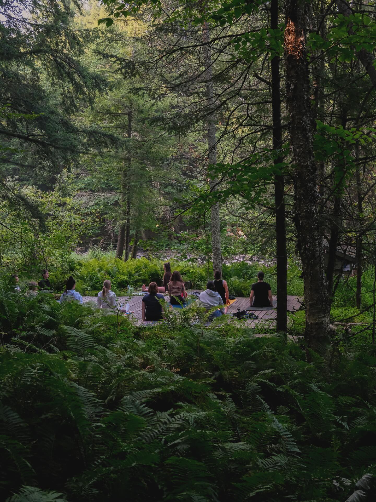 SÉYONA | 🌿 | LIBERTÉ & REPOS