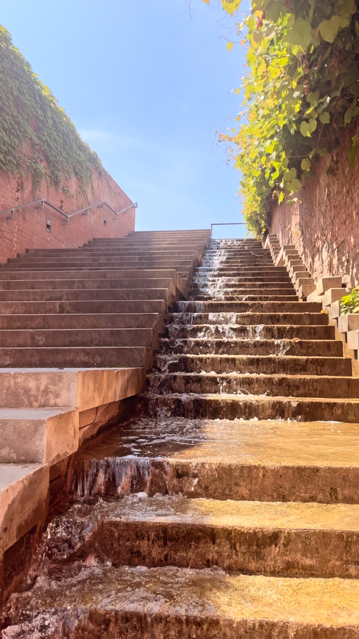 Water stairs
#water #stairs #summer #brno