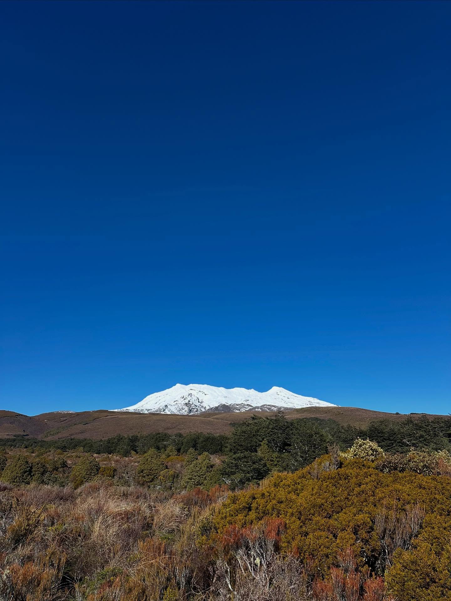 Cosy rooms and Mountain Viewโs, what more could you wantโฆ ๐๏ธ๐ป
๐https://www.adventurelodge.co.nz
#tongariroalpinecrossing
#mtruapehu
#snow