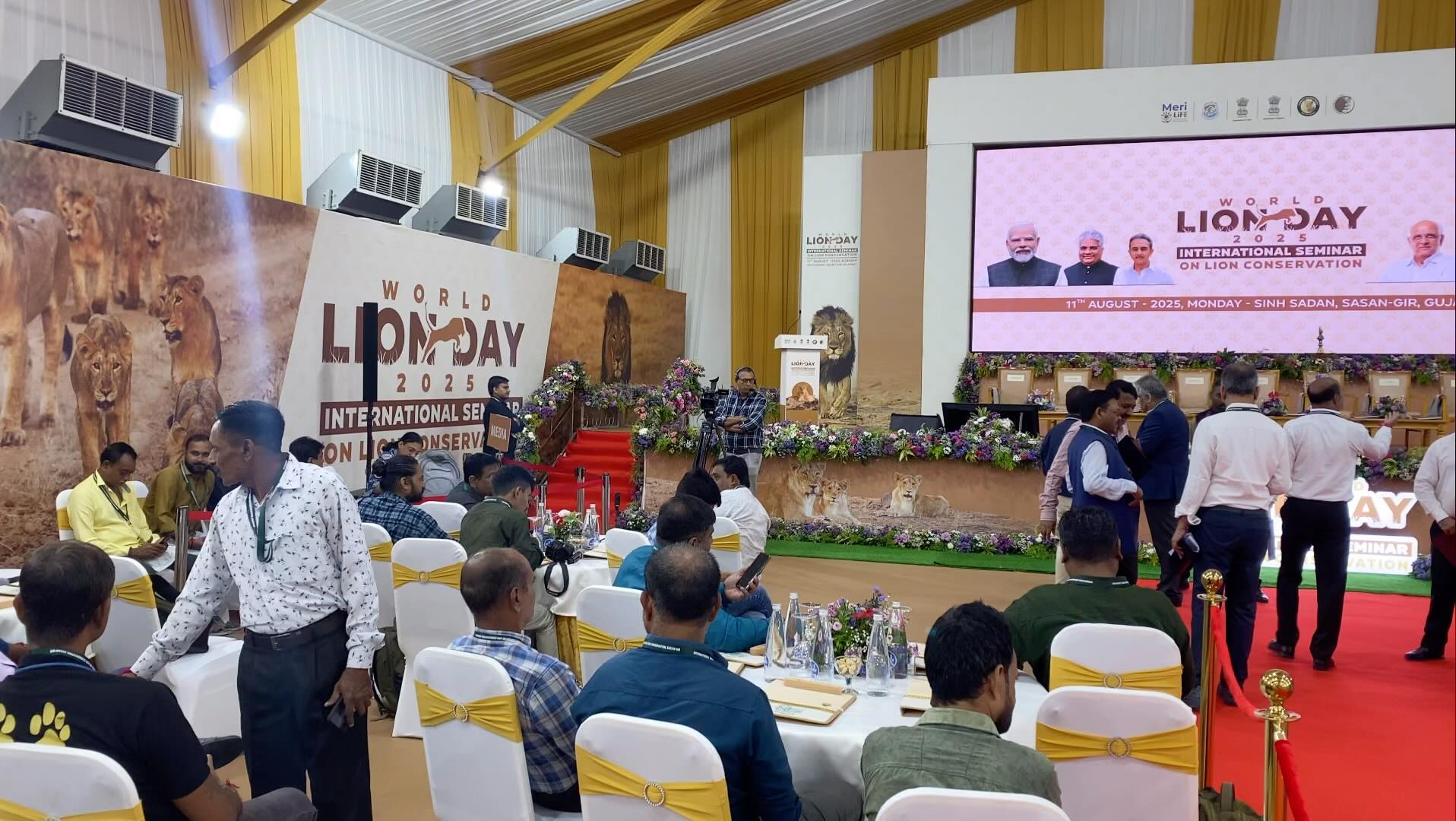 World Lion Day celebrations in the Gir Forest, India. And so much to celebrate - lion numbers now up to 891!!! Living alongside loving and incredibly tolerant people! I could not be more excited or proud to celebrate the incredible achievements of the Forest Service of India, India’s conservationists and people. Yesterday 2.3 million people celebrated World Lion Day.♥️🦁