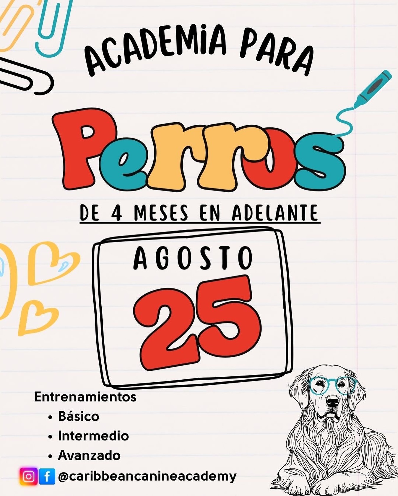Durante dos semanas completas, su perro compartirá con nosotros mientras trabajamos en:
✅ Los cinco comandos esenciales
✅ Caminatas tranquilas sin halar la correa
✅ Y cualquier comportamiento específico que necesiten mejorar 🐶
Este programa está diseñado para ayudarles a construir una relación más clara, equilibrada y disfrutable con su perro, en un ambiente estructurado y de mucho respeto. 🌟
📅 Los espacios son limitados — reserva tu espacio hoy mismo.
Será un gusto tener a su perro con nosotros. 💛
#caribbeancanineacademy #puertorico #carolinapr #entrenamientodeperros #dogtraining #clasesparaentrenador #trainthetrainer #perrospr #perros #dogs #dogsofinstagram #canine #k9 #puppy #puppies #puppiesofinstagram #cachorros #cachorrosdoinstagram