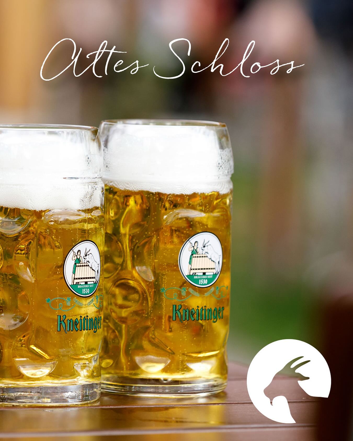 Sonntagsausflug mit der Familie ins Alte Schloß in Niedertraubling! Ein kühles Kneitinger für die Großen im Biergarten und Spielplatz-Action für die Kleinen …
Öffnungszeiten
SO - DO 10 - 23 Uhr
FR & SA 10 - 24 Uhr
Küche:
11 - 21 Uhr
Bitte vorab reservieren unter
T 09401 6077844
#altesschlossniedertraubling #biergarten #kneitinger