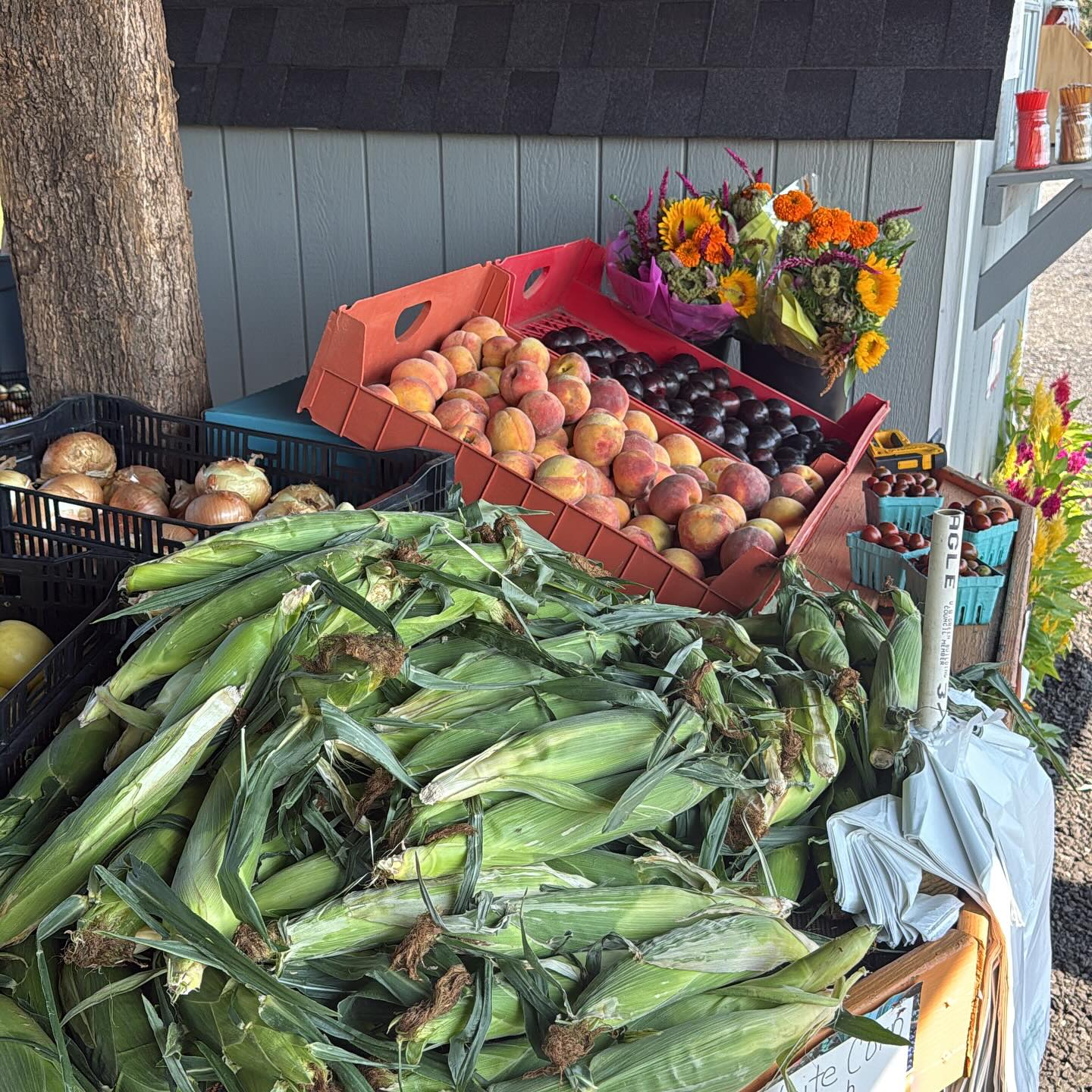 Add The Corner Farm to your Sunday to do list!!! Come visit us for the best Jersey fresh produce around!!! #jersey #farm #farmersmarket