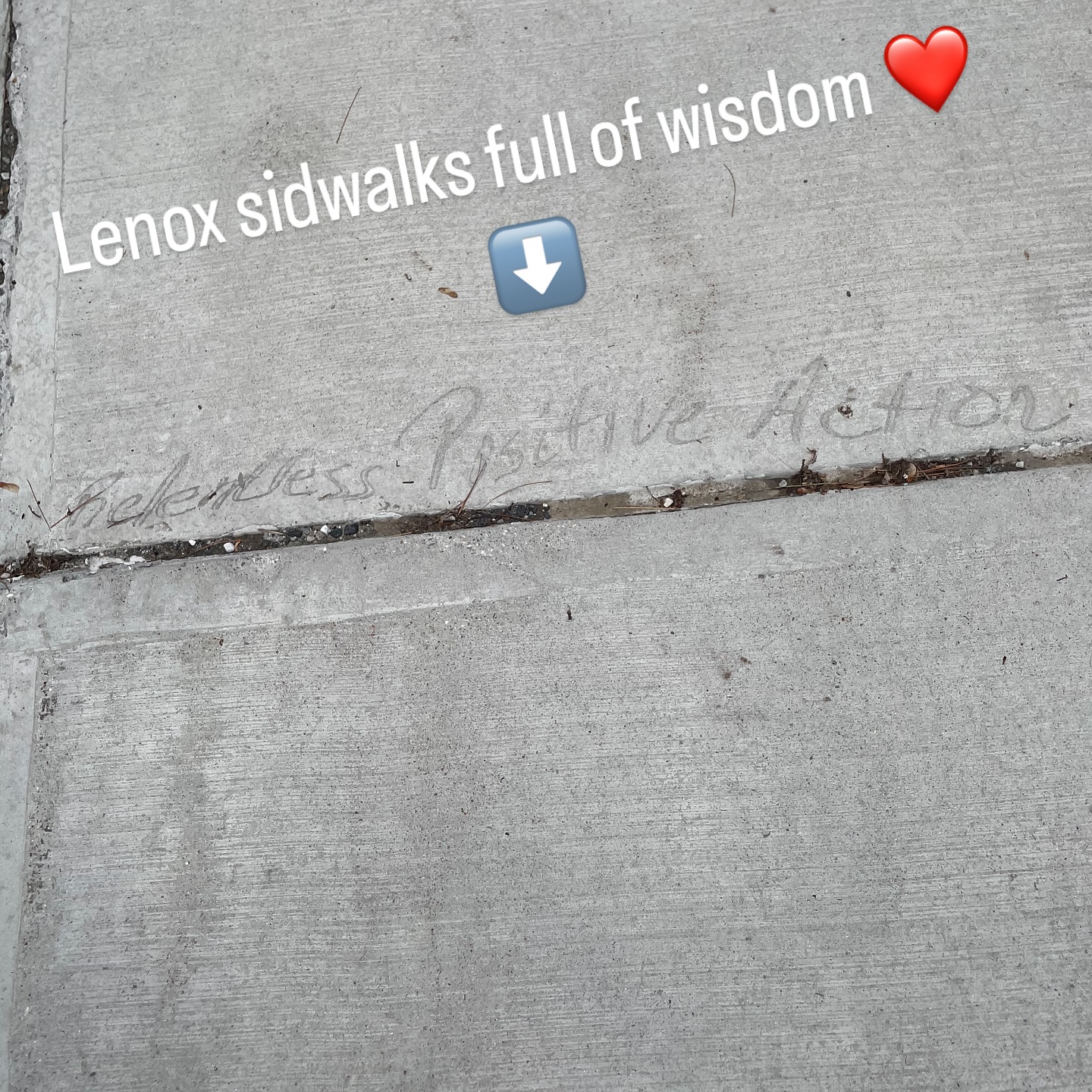 Good signs all around. Part of mental health is not denying the pain but also being open to beauty and goodness. The more we notice and feel goodness, the more our brains become primed for that. One way to improve symptoms of anxiety or depression is to (not deny the hard feelings but also) practice noticing and feeling the good. What beauty is here for you today?
#mentalhealth #positivepsychology #noticingbeauty #glimmers #neuroplasticity #beauty #noticing #goodvibes #positivevibes #goodomens #gratitude #integrativepsychotherapy
