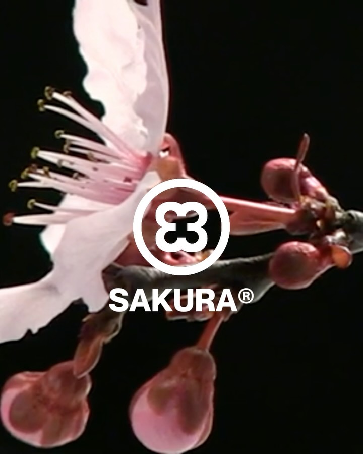 SAKURA®
Morbido come una molla. Nitido come la memoria.
È la nostra stampa più delicata, una tonalità tra il fard e la fioritura.
Un momento fugace da conservare.
🌸 Ora su vinylacy.com
#PressedByVinylacy