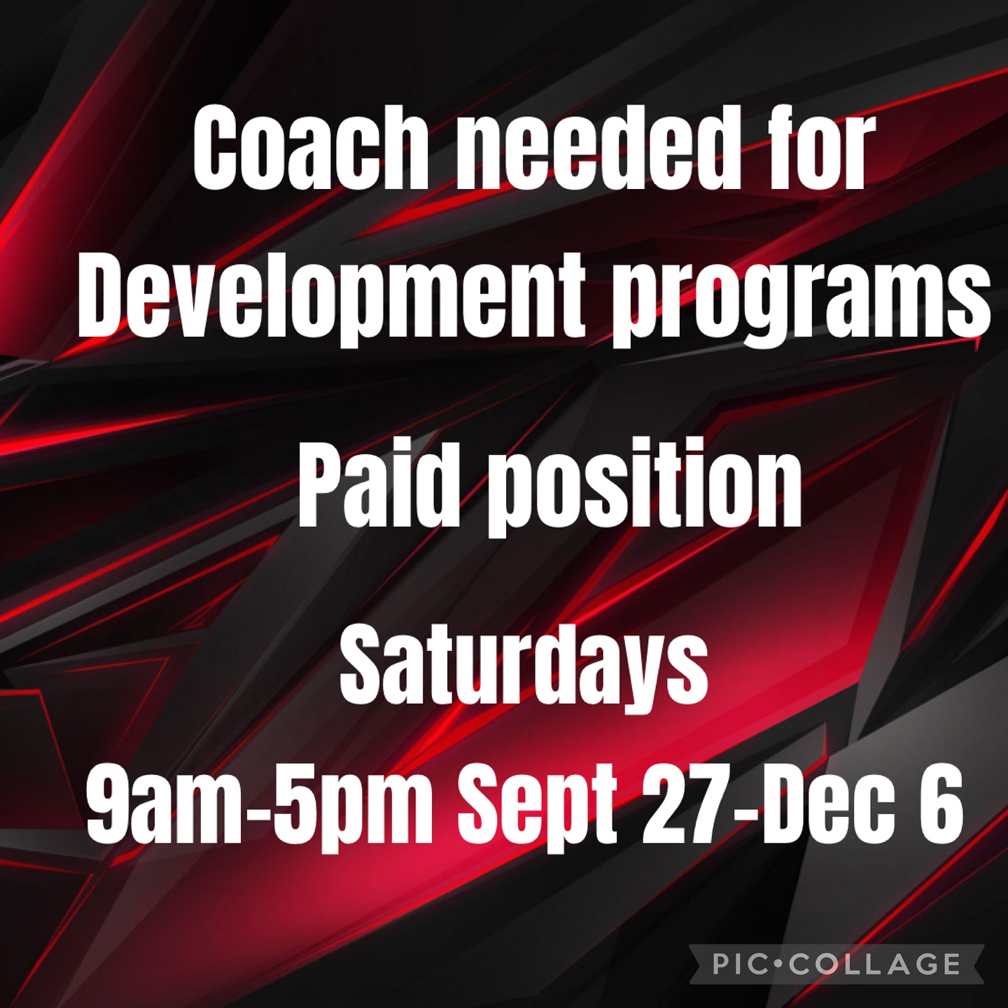 We are looking for additional coaches for our growing development classes. This is a great chance to stay involved, make an impact on young players and see their growth in learning the sport. These positions are paid and applicants will need to be committed to the full program. If you want to learn more, email us at georgetownimpactwright@gmail.com