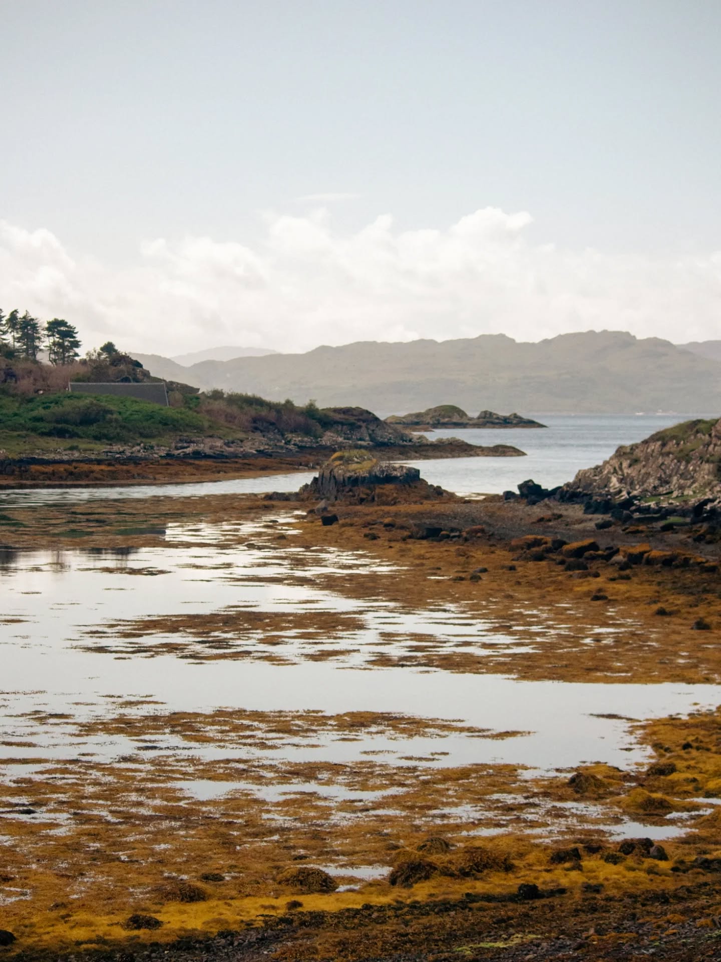 That's us back from the beautiful West Coast with a head full of projects and ideas. It's never long enough but a lot of sea air was inhaled, exactly what was needed! I even caught a glimpse of my very first Otter in the wild!! 🦦
We still have another 8 days of school holidays to go here in Perthshire so the studio hours will be a little sporadic for the time being. If you are waiting on a response to an enquiry, I will be catching up on emails this week. Stay tuned.
For now, I'll be mostly looking back over the ridiculous amount of photos I took of seaweed, and dreaming about life in a remote hideaway on the coast 🐚
#letterpressstudio #letterpress #printstudio #printingpress #stationery #stationer #scotland #visitscotland #westcoastscotland