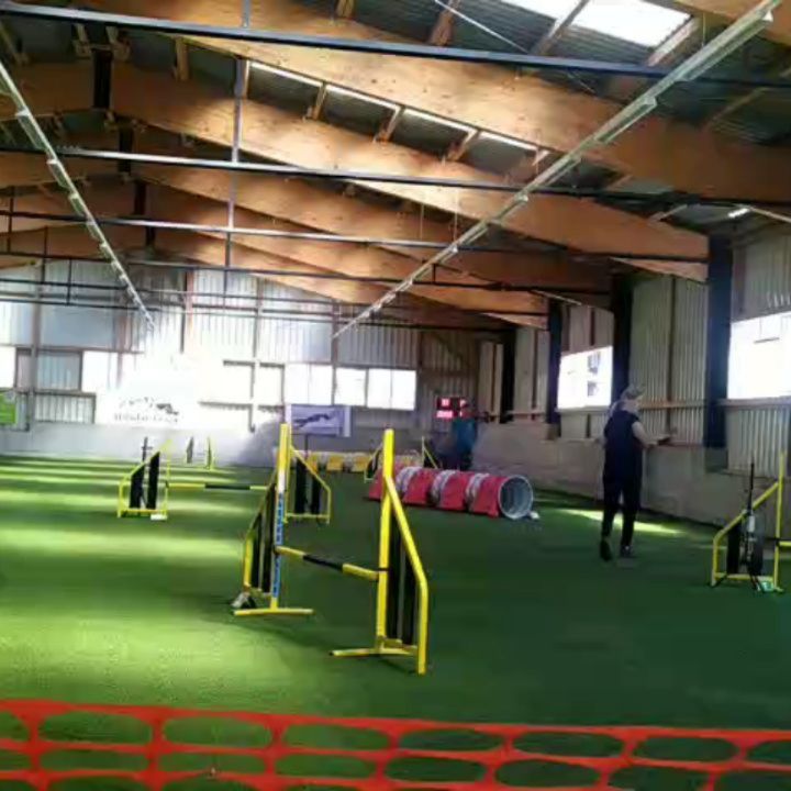 1. Agility-Turnier mit Lucy. Sie hat es toll gemacht 😀 und ist sehr stolz auf ihren Preis!