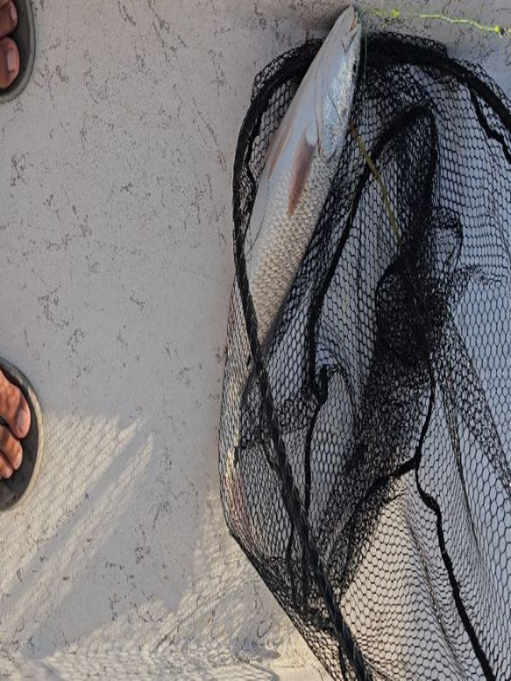 Capt. Mike Lozano
(956)802-8706
www.triplejchartersllc.com
Aqui Es! Yesterday's excursion with Pops... It had been a minute since we last went out for an afternoon trip 🎣 We managed to find a few for dinner 🤙🏽 #fishbitemike #fishon #shallowstalkerboats #portmansfield #triplejchartersllc #southtexasfishing #nightfishing #saltwaterfishing