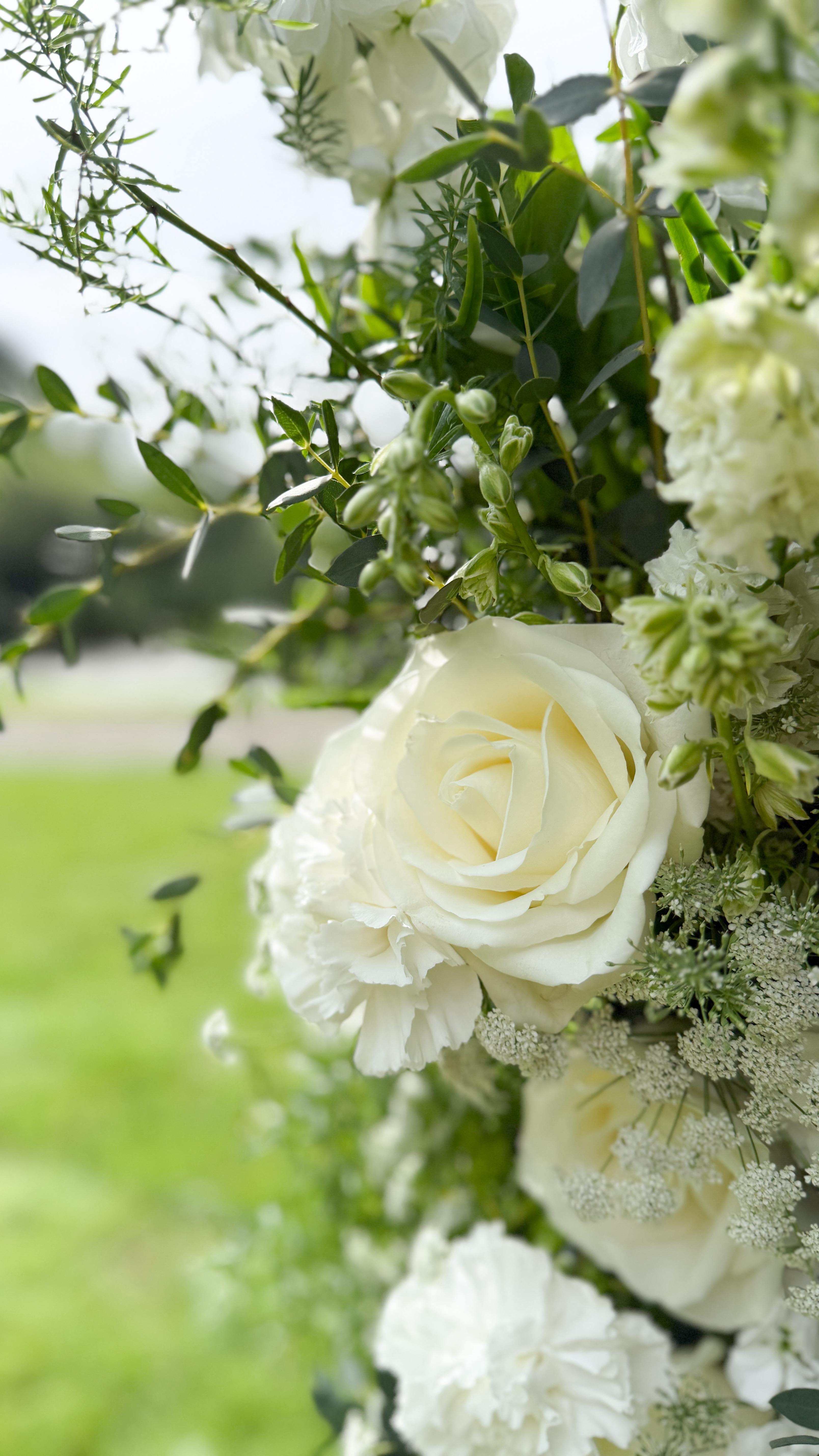 Theresa & Ingo | 08.08.25
Wow, was für ein schönes Wochenende hinter mir liegt 🥹
Das war eine dieser Hochzeiten, die direkt ins Herz gehen. Hier steckte so viel Liebe in der Planung. Schon bei den Vorbereitungen hat man gespürt, das wird ein sehr emotionaler Tag.
Theresa hat sich für ihre Hochzeit ein klassisches Konzept gewünscht. Mit viel Grün, Eukalyptus und weißen Blüten und in der Dekoration abgerundet mit Goldakzenten. Die Floristik sollte aber auch modern sein und locker wirken. Deswegen haben wir uns für Eukalyptus Parviola und Zierspargel entschieden.
Ich hab dieses Konzept geliebt und die beiden sind mir im Laufe der Zusammenarbeit richtig ans Herz gewachsen.
An diese Hochzeit werd ich mich für immer erinnern und ich bin ganz dankbar ein Teil dieses Tages gewesen zu sein 🤍
Das Team am Wochenende
Location: @bullmuehle
Fotograf: @marcelheinig_fotografie
DJ: @dj.harmi
Styling: @johannaahlers.makeup
Bereit für eure Lovestory?
#hochzeitsdekoration #hochzeitsfloristik #weddingidea #weddinginspiration #hochzeitsideen #hochzeitsinspiration #fineartflowers #gardenweddingdesign #hochzeit #hochzeit2026