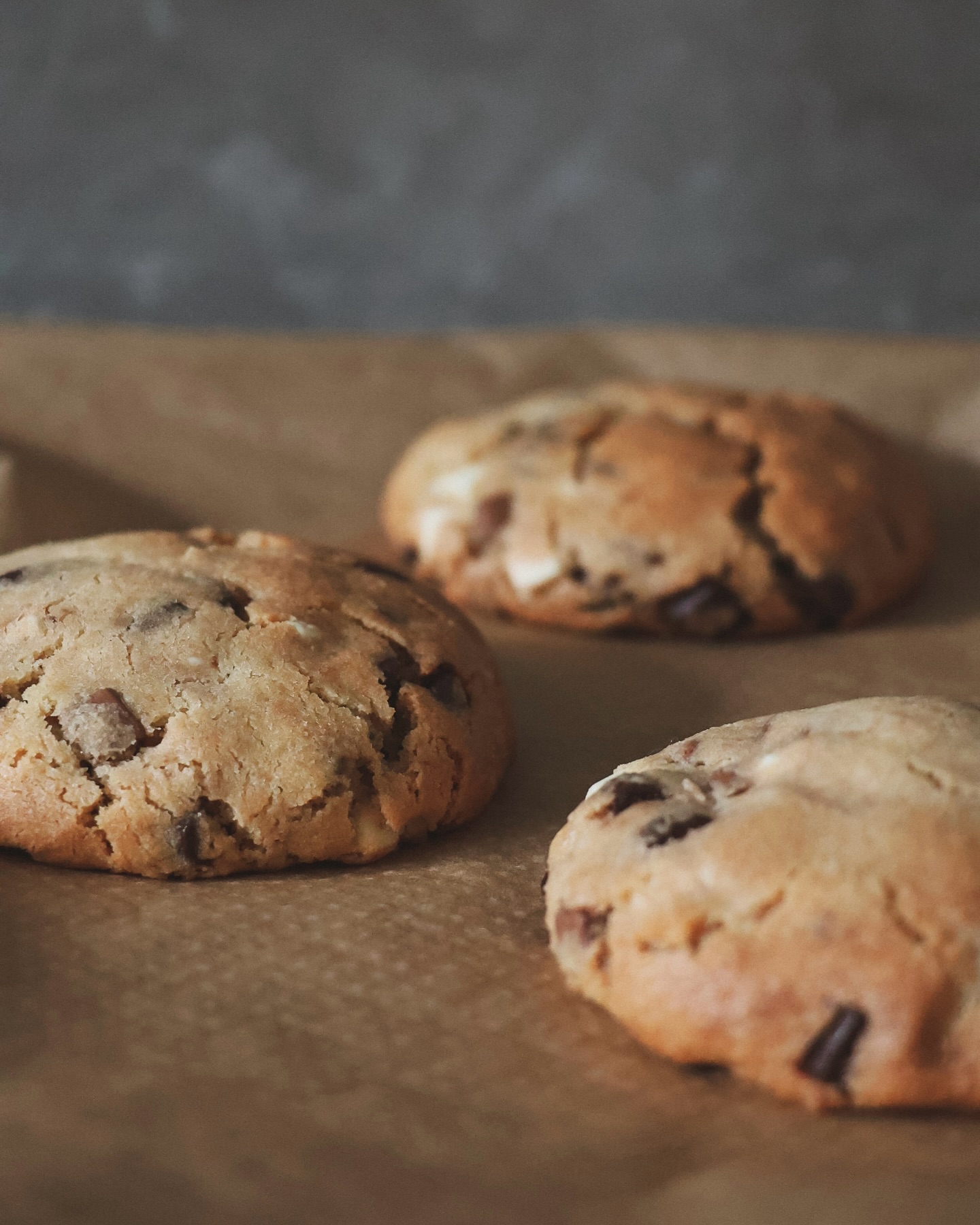 The Soft Archive | edition five.
This was a slow seven — a week of quiet routine and small, certain joys. Its gentle pace, folding me into the comfort of games with friends, the steady pull of the pool, the easy habit of moving and resting in turn.
Hydrangeas held clusters of tiny blooms, while rudbeckia burned gold against the late-summer green.
Batches of cookies baked for friends, the kitchen carrying the scent of sugar and warmth. An afternoon stretched out beneath the sun in the untamed tangle of my own garden, a red-underwing moth pausing to say hello.
There was breakfast and browsing in the quiet charm of Arundel, and more pages read - their words now tucked into the corners of my mind.