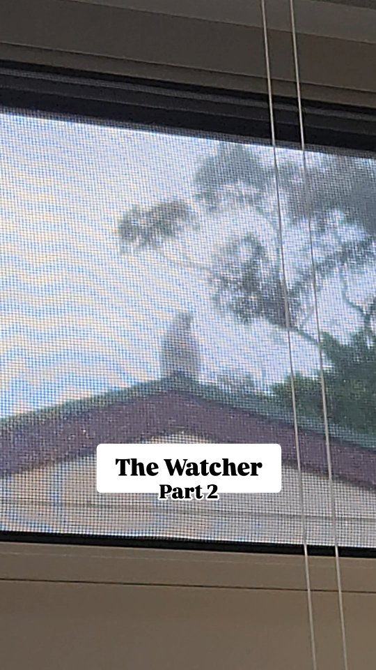 The Watcher - Part 2
👧🏻 Telling me a documentary about a stalker
👨🏻⚕️ Feeling a bit petrified
👧🏻 Noticies, my fear, points outside, and jokes:
"STALKER!"
👨🏻⚕️ "HUH, whatttt?!"
Notices the cockatoo . . .
👨🏻⚕️👧🏻 Both laugh stupidly
📍 8/44 Hampden Ave Wahroonga NSW 2076
Tues & Thurs: 9:15am-5pm | Sat: 9:15am-1pm
📞 8457 7971
📍90 Avoca Drive Kincumber 2251
Wed & Fri: 10am-5pm
📞 0493 523 109 | DM
🌐https://www.hampden-health.com/chiropractor
#chiropractor #chiropractorbrenton #balancestrengthmobility #Cockatoo #Stupid