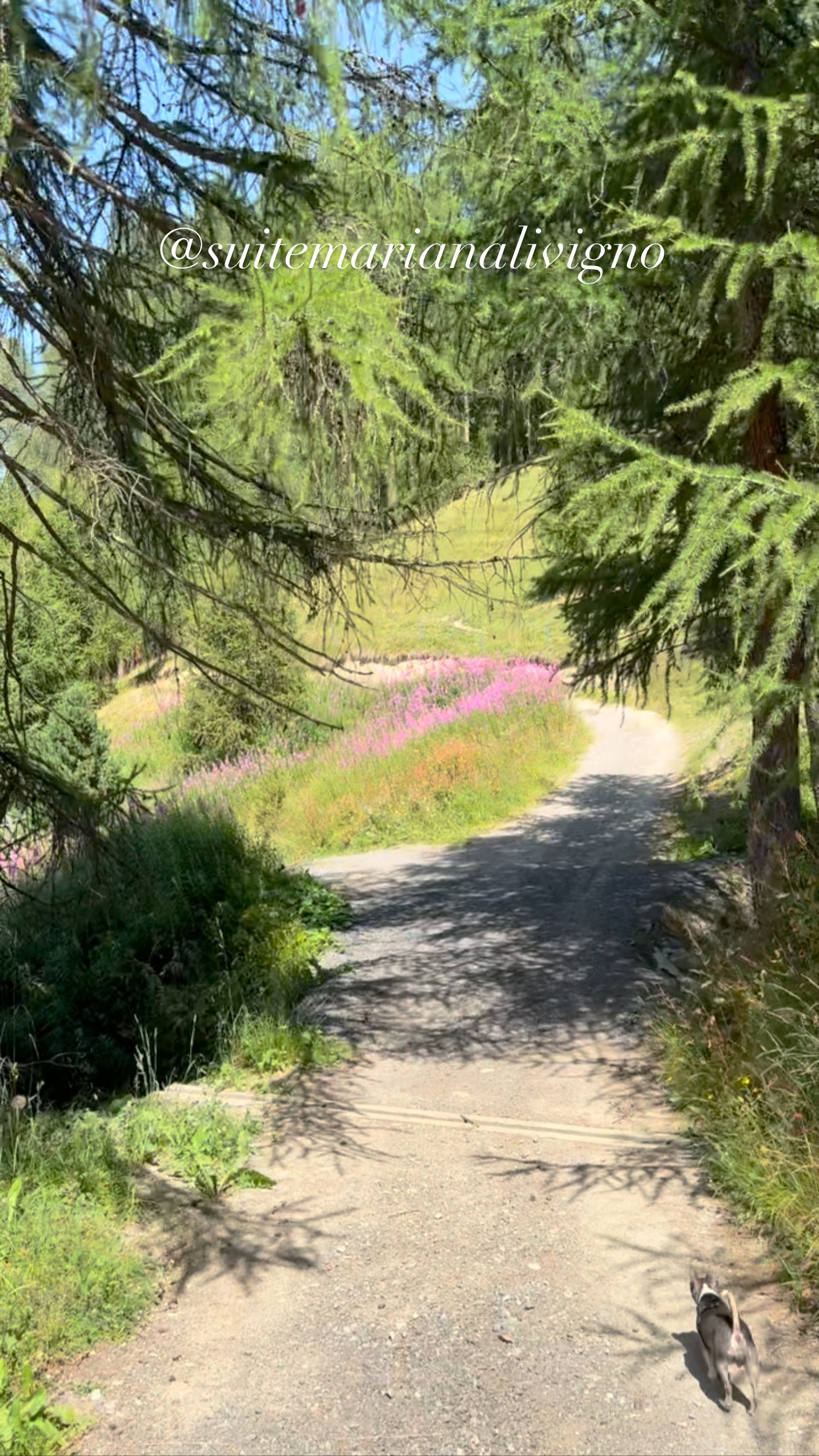 š«¶#nature #nofilter #beauty