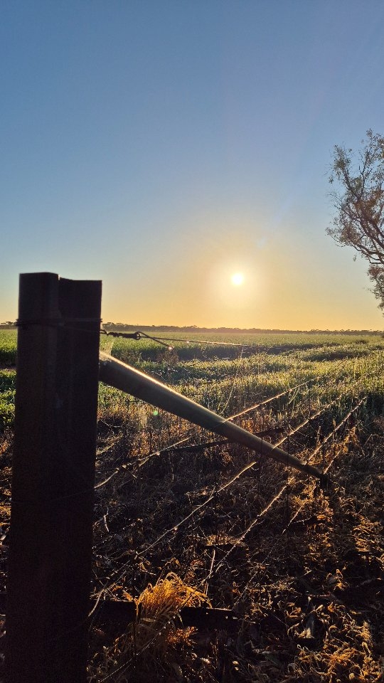 What a way to start the day.
#farmlife #birdlife #jewellerinthecountry