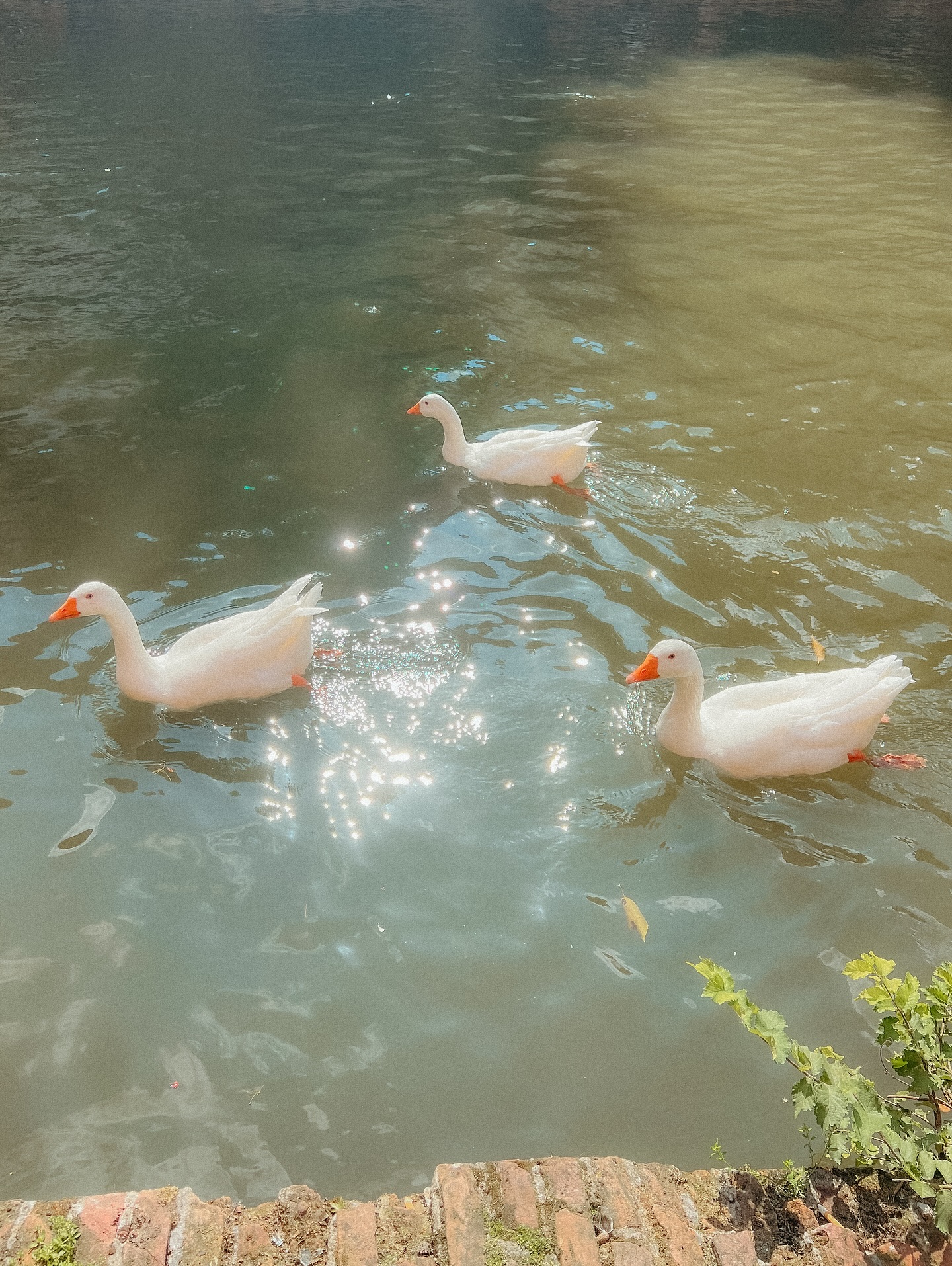 the sun is shining and so are you ☀️