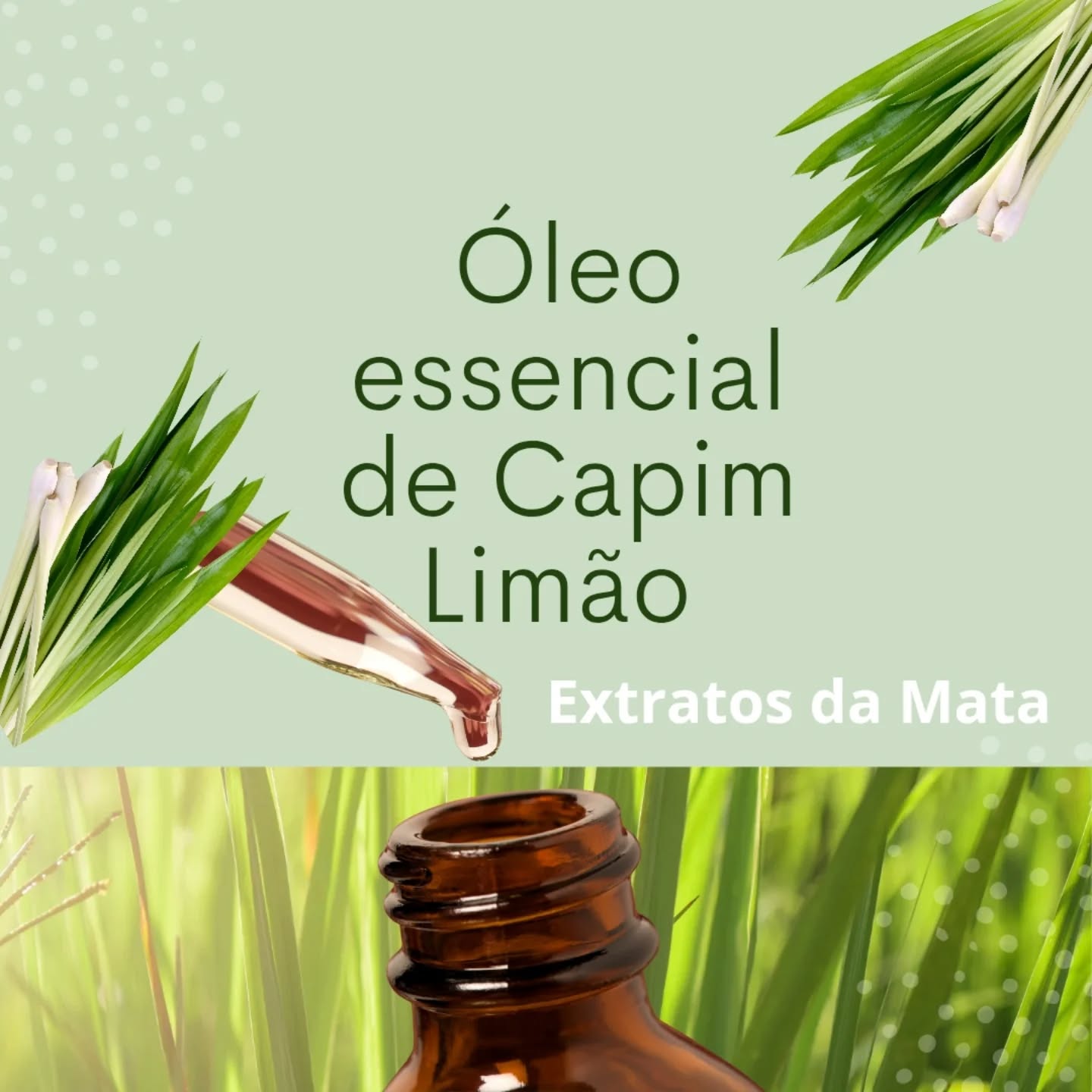 🌱O óleo essencial de capim-limão, também conhecido como lemongrass, possui diversas aplicações devido às suas propriedades terapêuticas e cosméticas. Ele é conhecido por suas ações calmantes e relaxantes, auxiliando na redução do estresse e ansiedade, além de promover uma sensação de bem-estar. 👩🏼🔬
Também pode ser utilizado para aliviar dores de cabeça, melhorar a concentração e combater a fadiga mental. Além disso, suas propriedades adstringentes e antissépticas o tornam útil para cuidados com a pele, auxiliando no controle da oleosidade e na prevenção de acne. 🍃
🤲🙏🙌 Capim Limão na Espiritualidade:
Ajuda a ter mais criatividade, clareza mental e intuição, dando clareza e discernimento.
É antidepressivo, bom para insônia, libera raiva e emoções contidas.
Indicado para pessoas hiperativas e crianças que têm medo, como de escuro, por exemplo, pois acalma a mente agitada.🧘🏼♀️🧘♂️
#extratosdamata