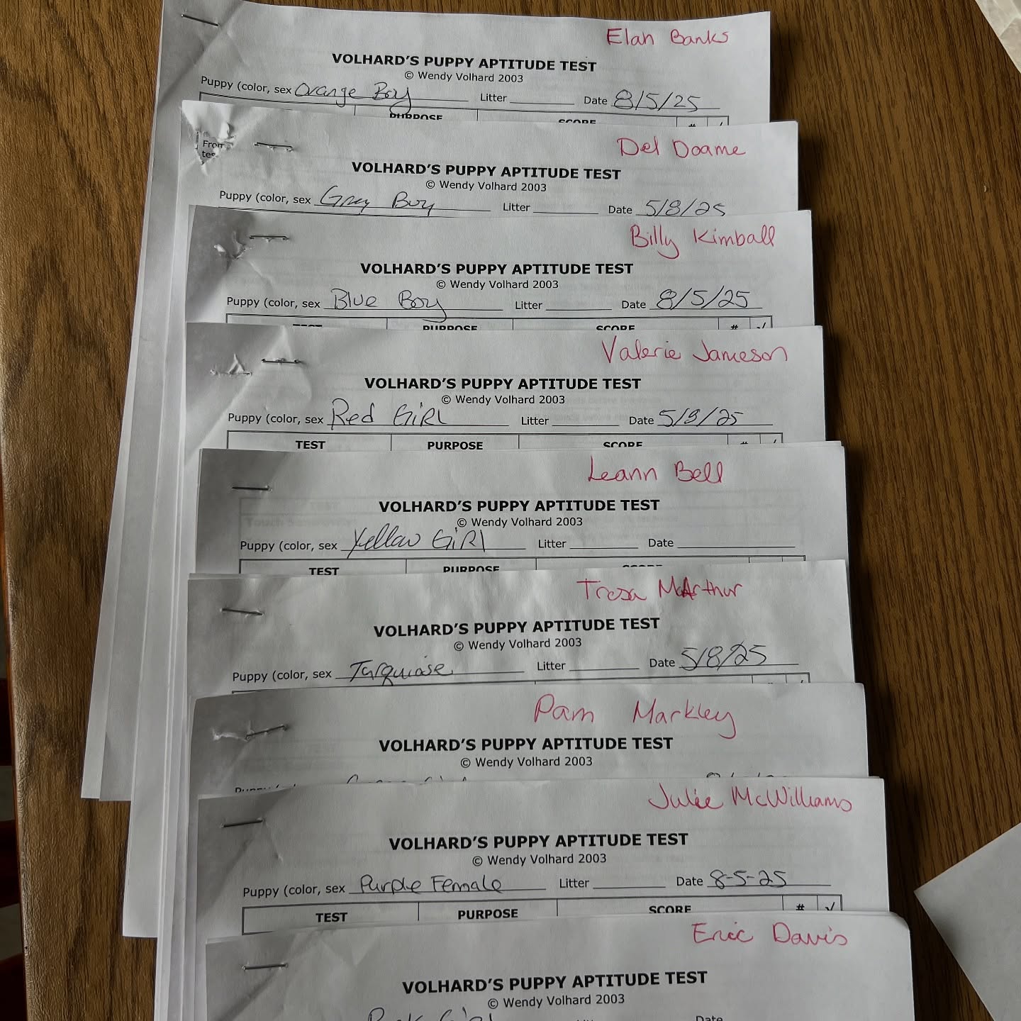 This week has been unexpectedly busy and overwhelming but the homes and puppies have been matched! I gotta do it the old fashioned way on paper to think through each match. Emails will go out tomorrow š„°