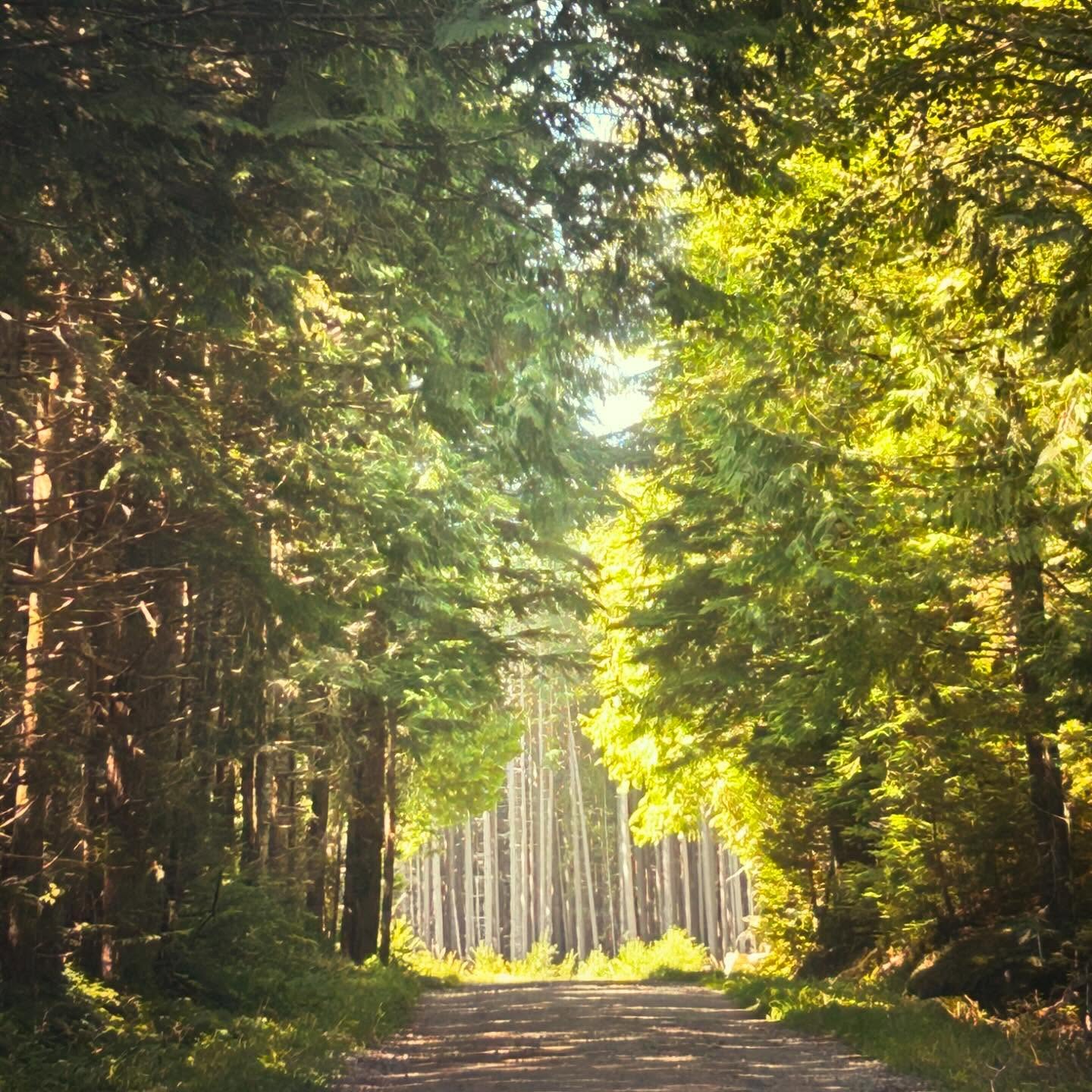 The 500th kilometre was a delight