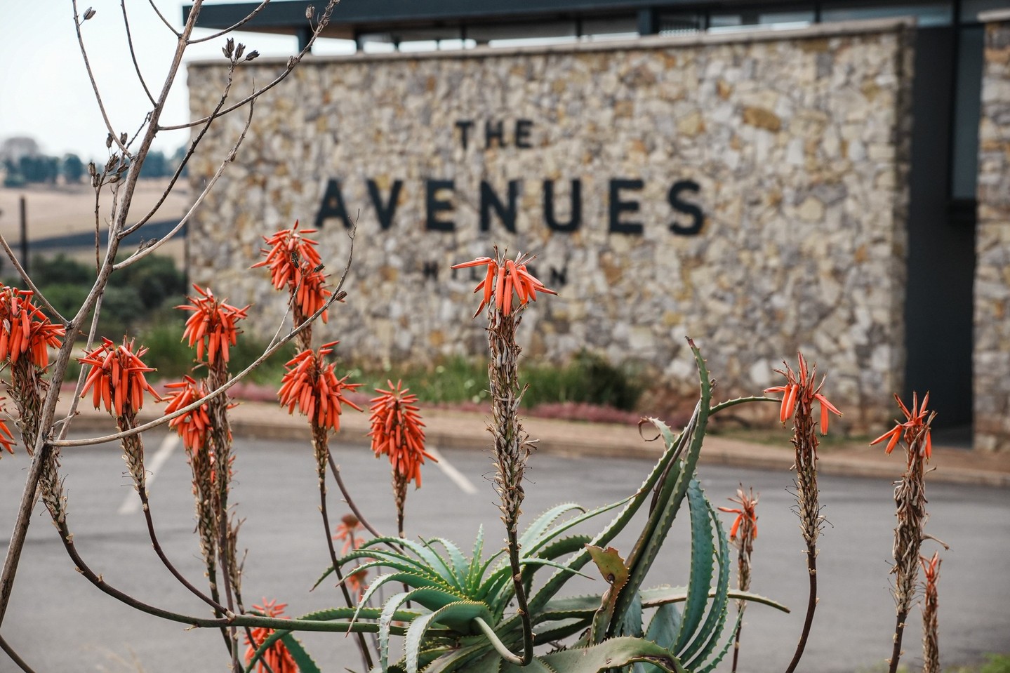 Imagine owning a slice of Hilton, and watching its value grow.
Property prices in Hilton have shown consistent year-on-year growth, making now the perfect time to invest. Secure your plot at The Avenues Estate and invest in a future of lasting value.
Reach out to Seeff Midlands on 084 346 8084 for more information.
#TheAvenuesEstate #HiltonLiving #InvestInRealEstate #PropertyInvestment #RealEstateGrowth #FutureValue #HomeOwnership #LuxuryLiving #SmartInvesting #WealthBuilding