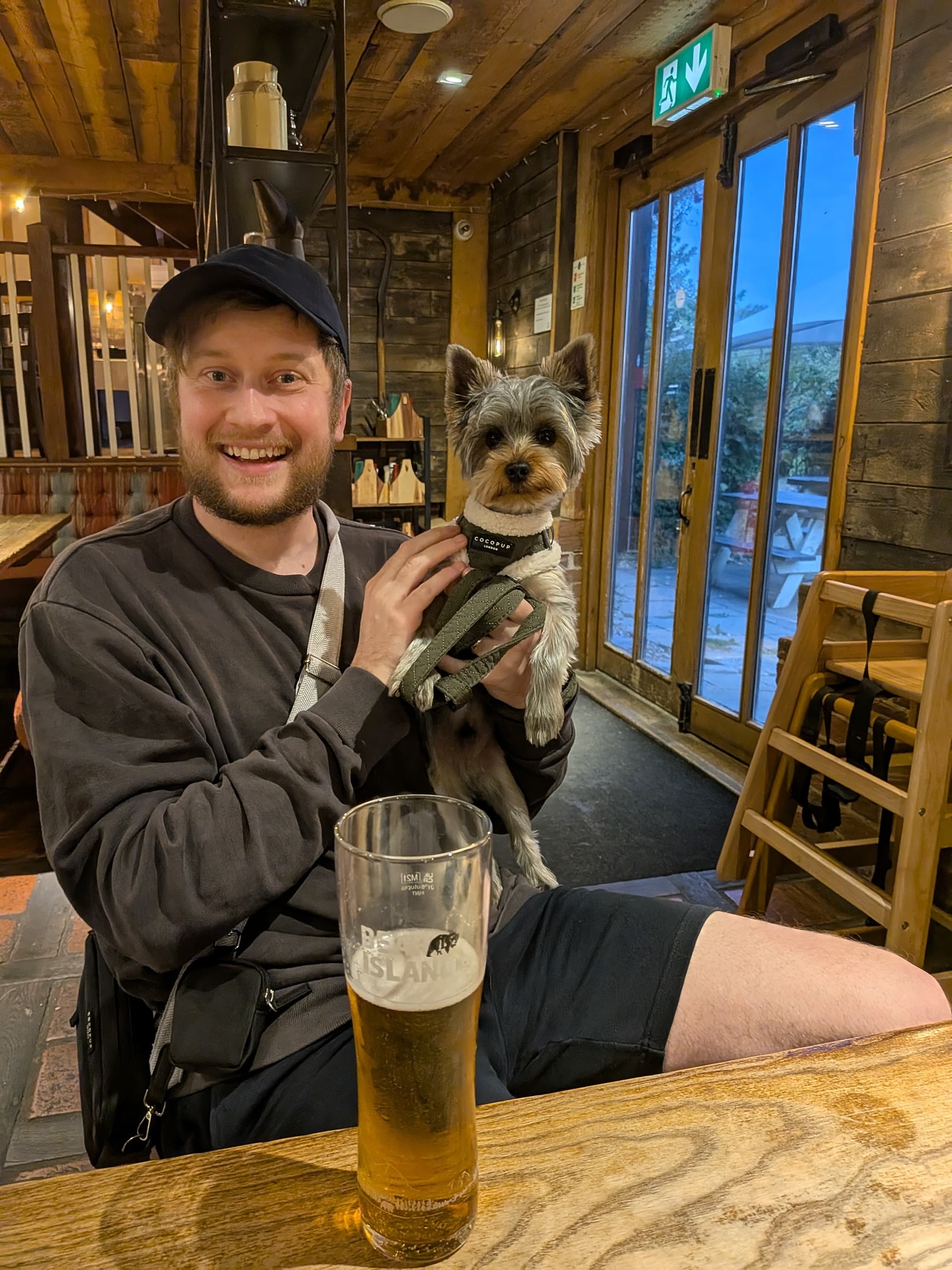 life lately (mainly pictures of my dog)