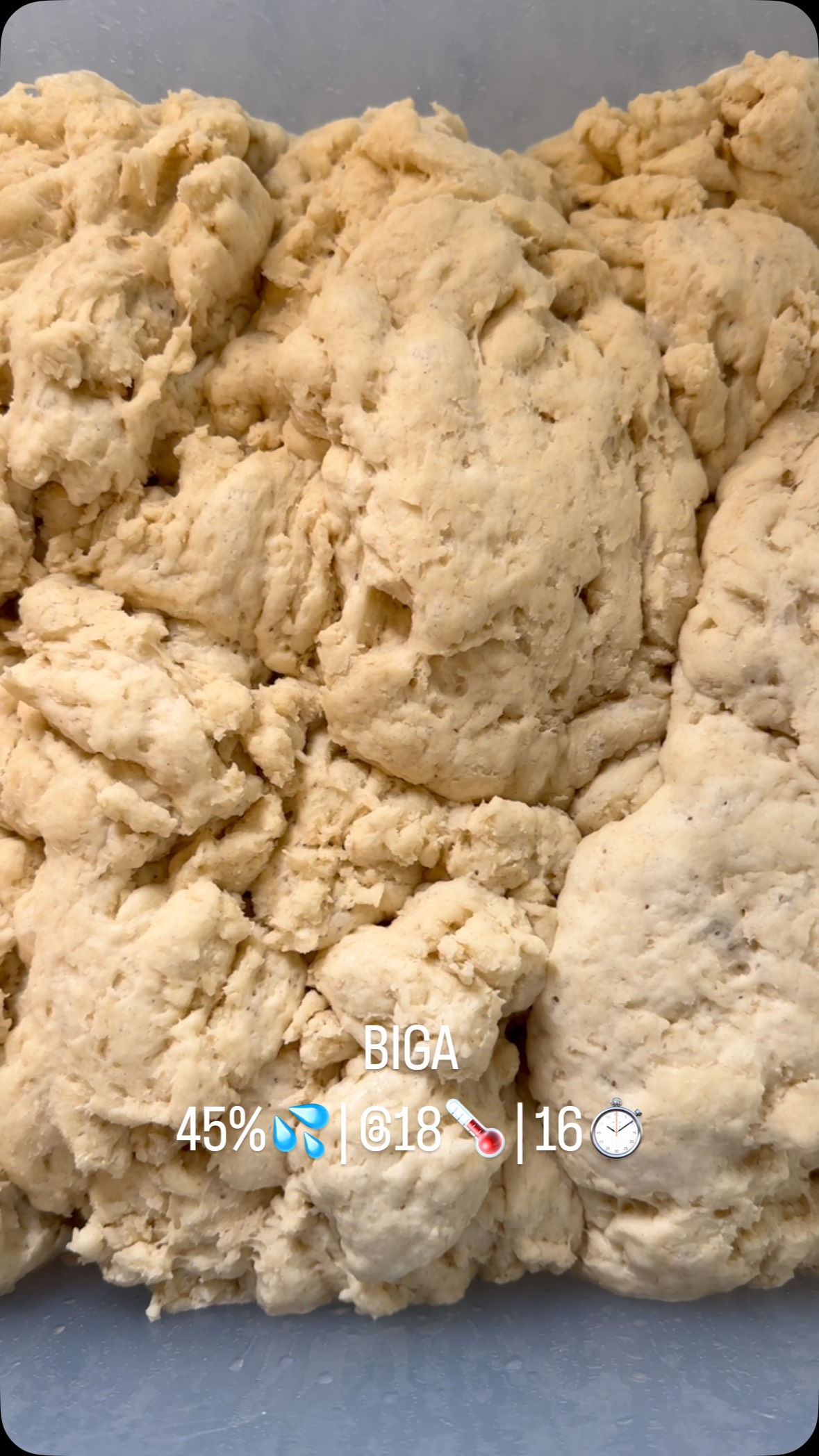 BIGA isn’t just a starter — it’s the foundation of structure, aroma, and flavor.
💦 45% hydration
🌡️ 18°C controlled fermentation
⏱️ 16 hours for peak maturity
The result? Strong gluten, nutty-sweet smell, and unforgettable airiness!
#Biga #PizzaDough #PizzaNerd #NeapolitanPizza #RomanPizza #PizzaLover #Pizzaiolo #PizzaMaster #PizzaMaking #ArtisanPizza #PizzaLife #PizzaTime #PizzaArt #PizzaPassion #PizzaLovers #SourdoughPizza #ItalianPizza #PizzaMagic #HydrationMatters #Fermentation