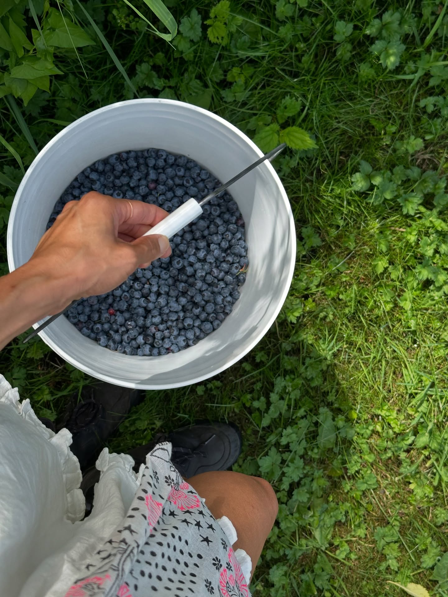Summer break mode 🫐🌲⛰️ Taking 4 intentional weeks off was life changing! I don’t think in all my years as a florist I’ve ever been able to take a “summer break” but I might be inclined to do this every year now. I’ve been sharing more of my personal life on @camino.living where you can follow along in my life outside of just flowers 🌸🧡
-
Highlights in this post:
🌱botany in Washington & Colorado
🏔️ getting ghosted by Mt. Rainier
🌸 a day of dahlias with @flowergirlbainbridge
🌲mountain life with my brother @thedustyrover