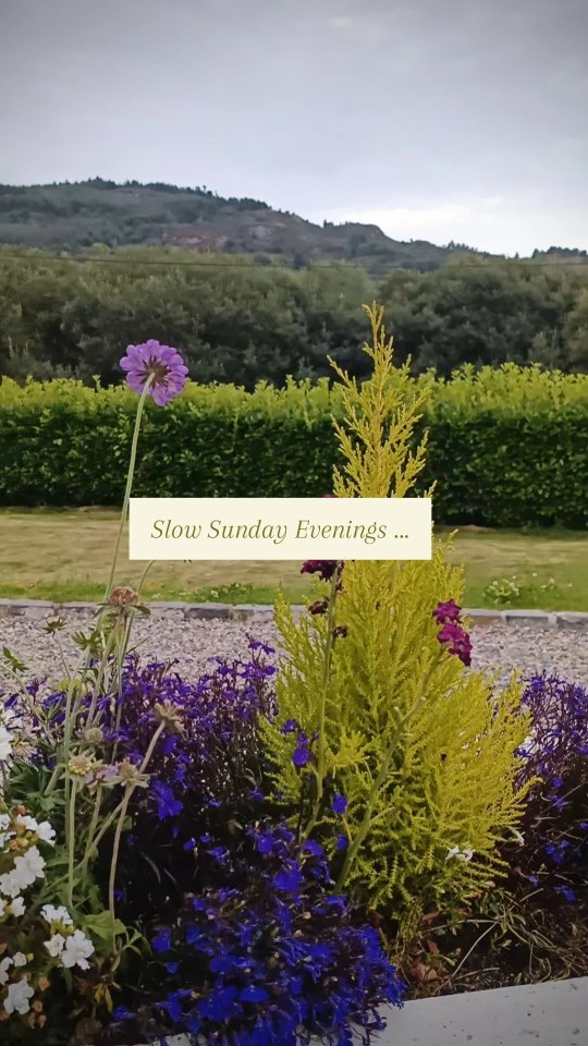 Sunday evenings...
A slow Sunday evening, giving all the Friday night vibes🥂
Wedding season is in full swing and an evening off was much needed to recharge the batteries🔋
Making the most of the last 2 weeks of summer holidays. As much as I love Autumn, I am not ready for it yet!
#summerevenings
#slowsundays