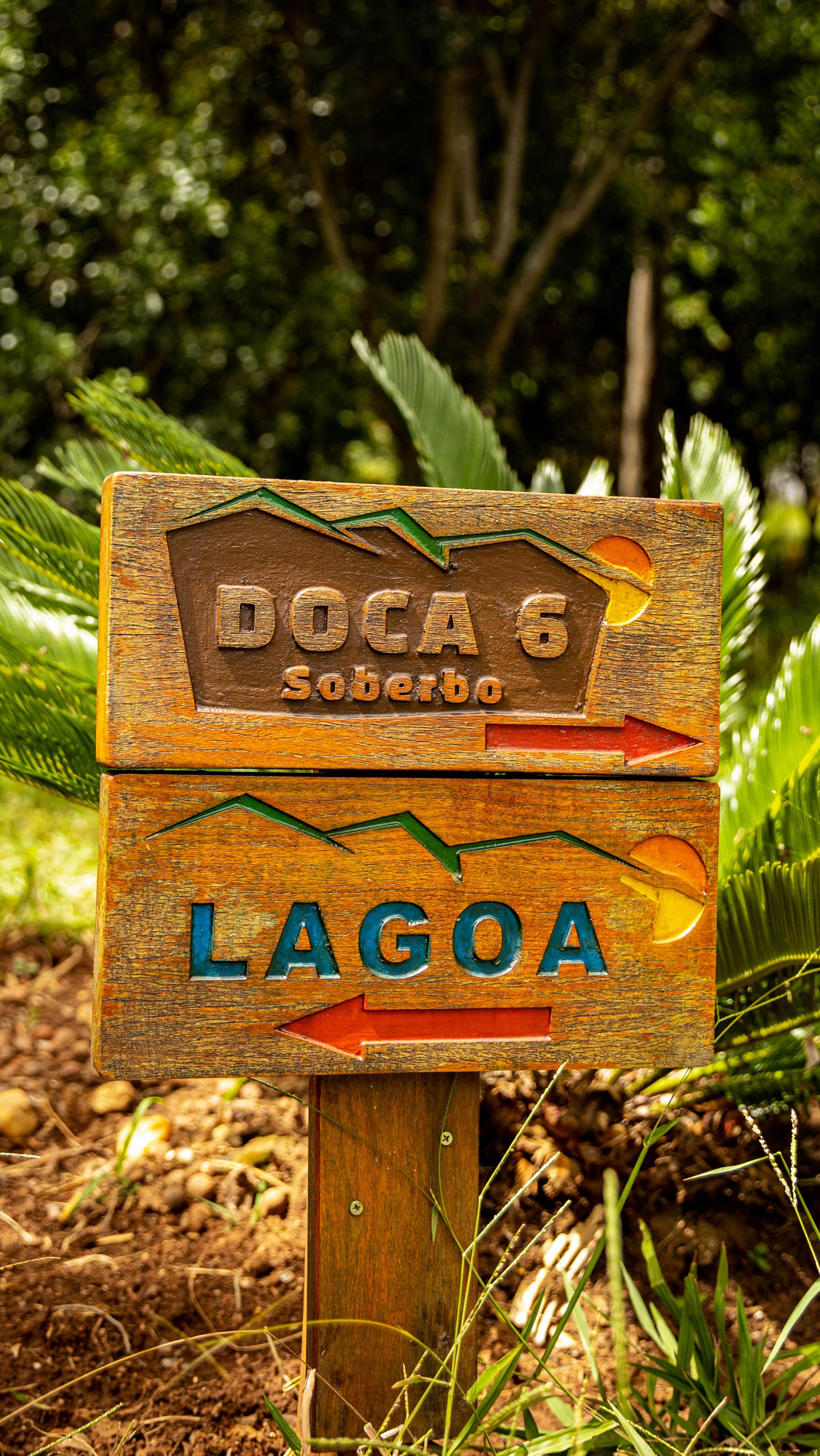 ✨ Experiências que ficam para sempre na memória ✨
Na Docas da Lapa, você vive momentos únicos em meio à natureza exuberante da Lapinha da Serra, com todo o aconchego de uma ecohospedagem pensada para desacelerar e reconectar. 🌿💦
📸 Compartilhe seus momentos com #DocasDaLapa e inspire outros a descobrirem seu refúgio de paz!
🔗 Reserve agora — link na bio.
#LapinhaDaSerra #EcoHospedagem #ViagemComPropósito #Natureza #Aconchego #Refúgio #TurismoSustentável #MinasGerais #ViagemEmMinas #HospedagemComCharme #Pousada #LagoEMontanha #HospedagemSustentável #EcoTravel #DocasDaLapa #SerraDoCipó #TurismoEco #ExperiênciasInesquecíveis #ViajeMais #Desacelere