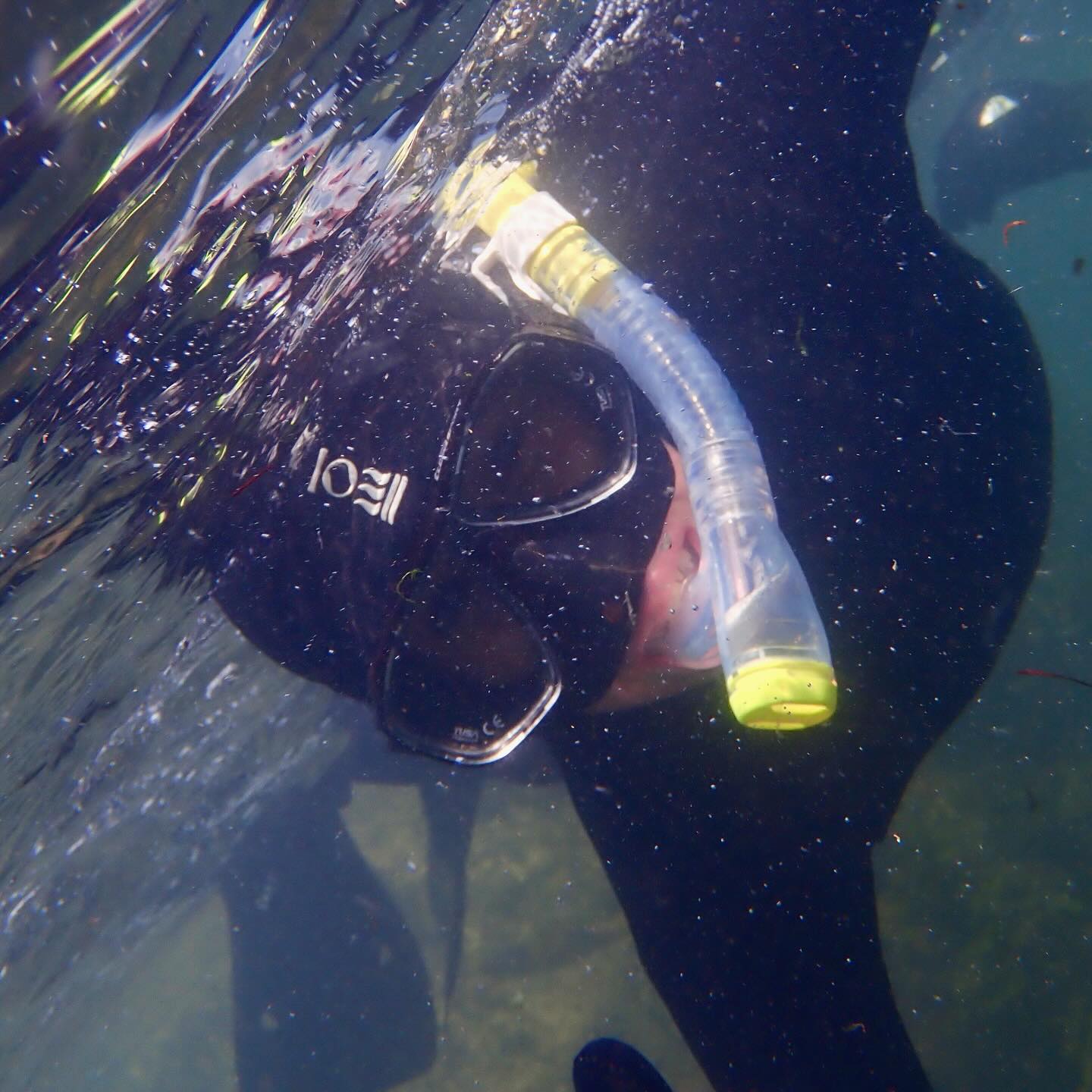 After a challenging start to August with some big waves 🏄♀️ 🌊 it soon calmed for some more settled seas and clear water to so we could get back in to explore 🤿 with lots to see including a seal in the bay, urchins, a sea lemon and lots of these hydroid medusa that look like parachutes.
@berwickshiremarinereserve @nationaltrustforscotland Bioblitz took place on Saturday, with 4 of snorkel club identifying and recording as many species as we could in one area. It was great to focus on all the smaller macro species like the sponges and squirts that are often overlooked in search of the bigger sea creatures like fish and crabs 🔍👌🏻💙
Thanks everyone that joined me and experienced the wonderful underwater world 🙏🏼