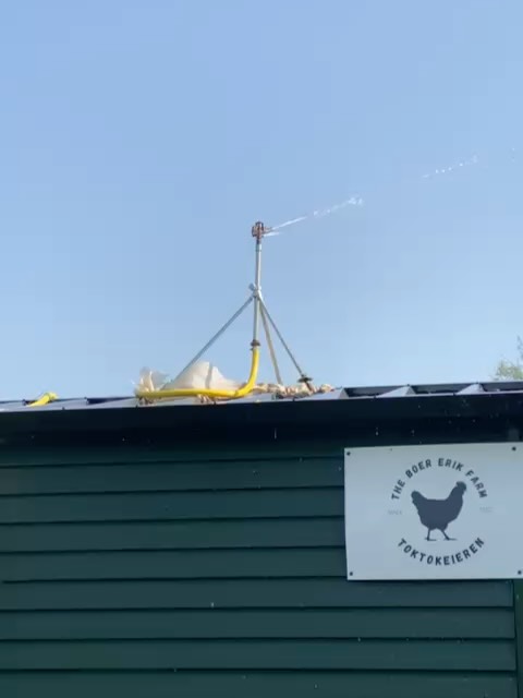 De zon schijnt en de temperaturen lopen hoog op! Om ervoor te zorgen dat de kippen ook kunnen genieten van deze dagen zetten we de sproeier aan. Dat zorgt voor verkoeling voor de kip en het kippenhotel. Geniet van het lekkere weer☀️☀️🥚 #toktokeieren #kippenhotel #zon #boererik #loenenaandevecht #nigtevecht #vreeland #weesp #breukelen