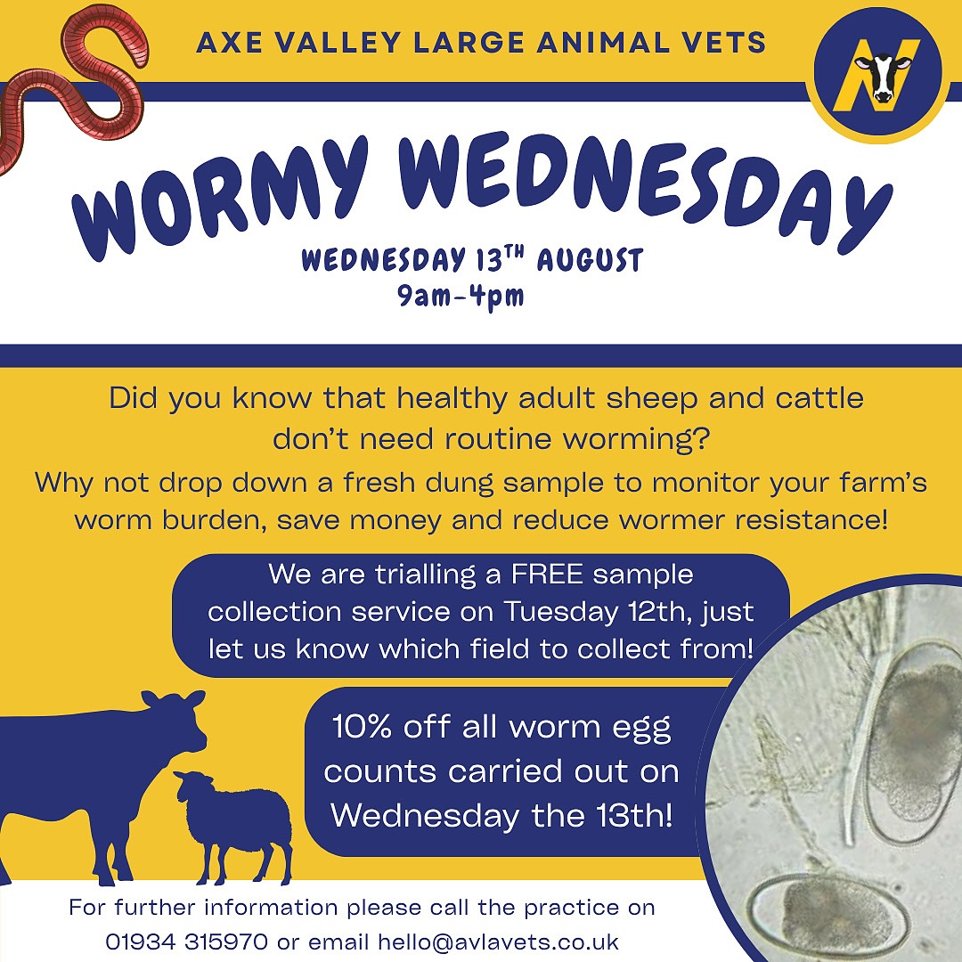 Don’t forget:
🪱 Free sample collection for worm egg counts tomorrow - just let us know where to come!
🪱 10% off all worm egg counts carried out on Wednesday! (Those collected on Tuesday will be tested on Wednesday)